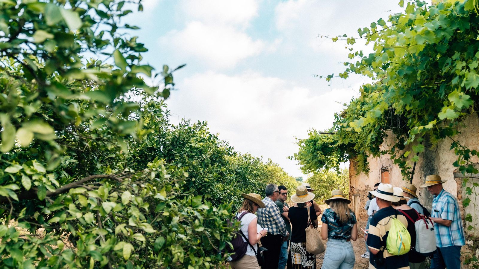 Visita guiada per l'horta amb Ricard Camarena, una de les activitats del festival Visita guiada per l'horta amb Ricard Camarena, una de les activitats del festival