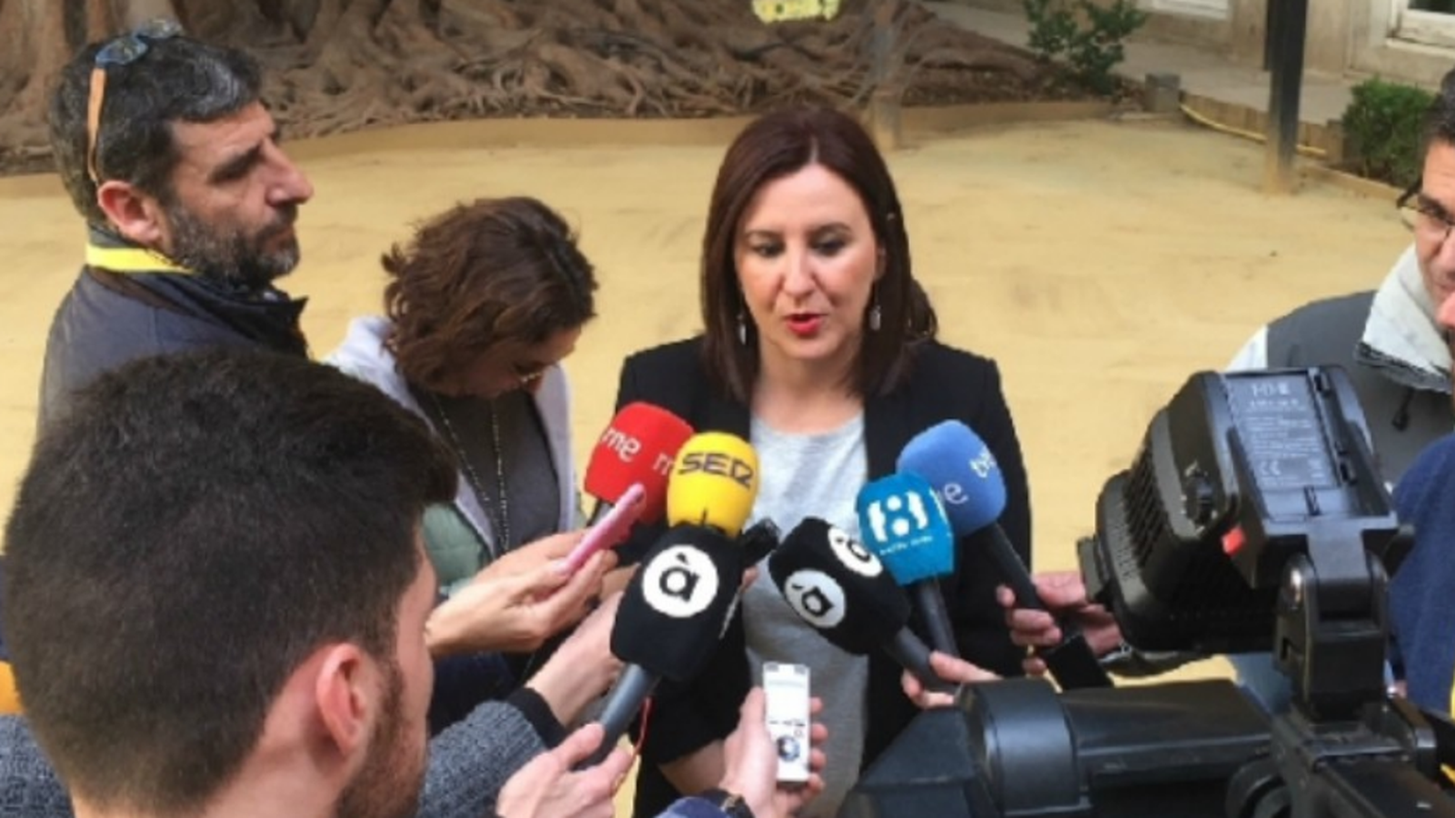 María José Català atén els mitjans de comunicació a Les Corts