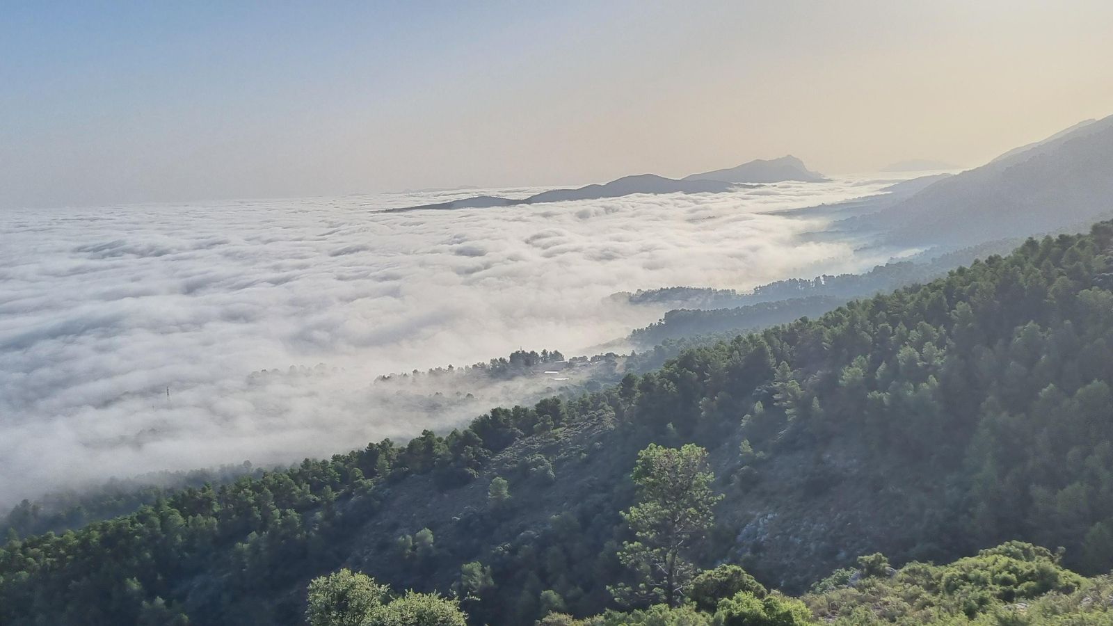 BOCAIRENT, LA VAL D'ALBAIDA