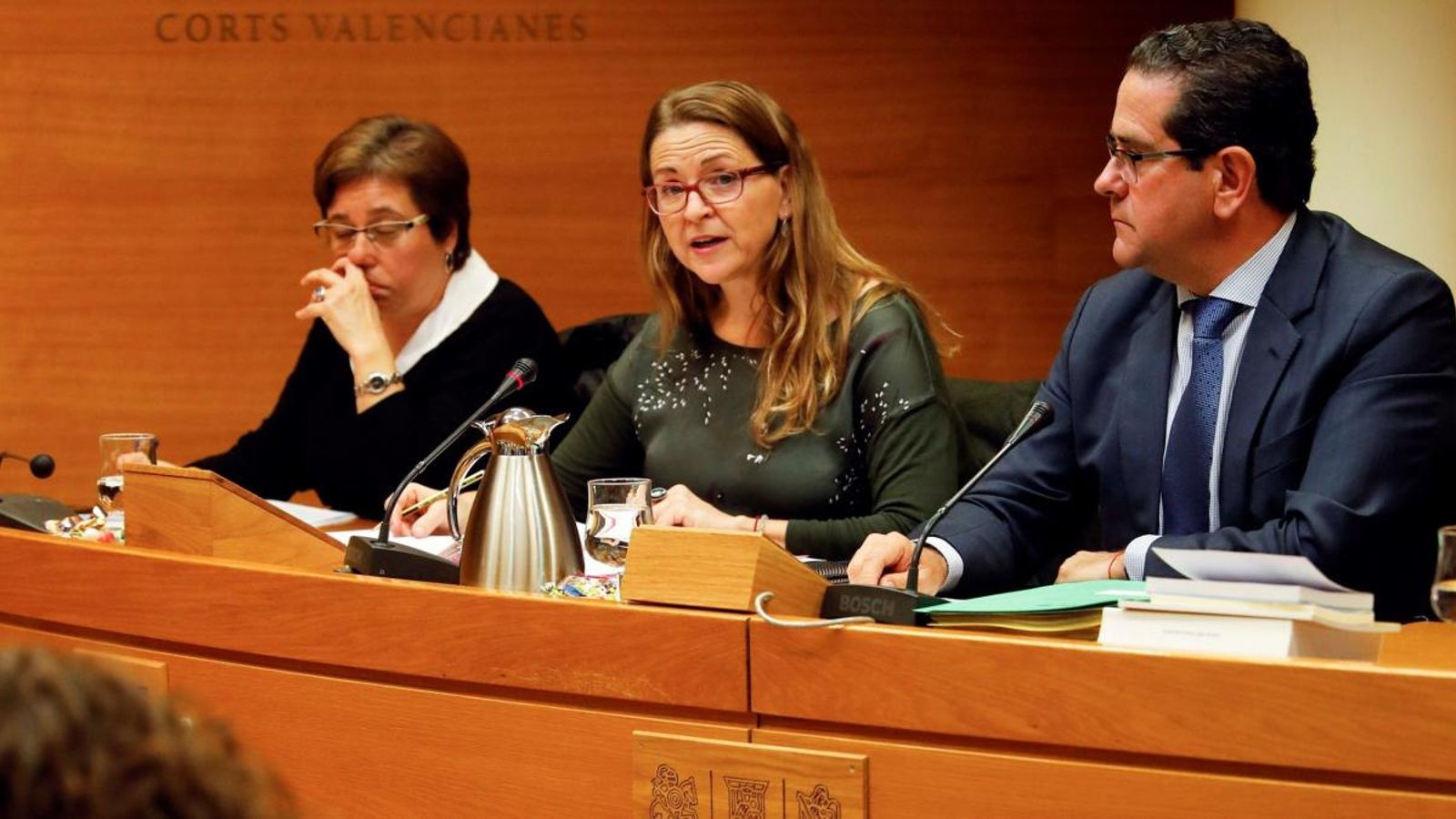 Elena Cebrián, a les Corts