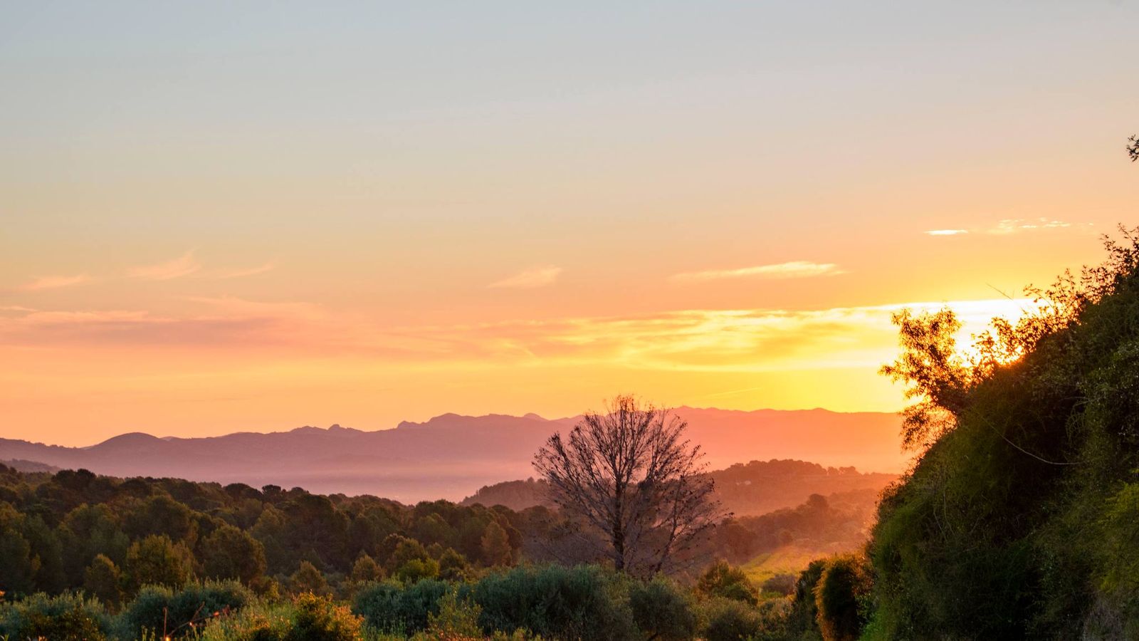 5- Mª NIEVES SÁNCHEZ, L'Olleria, la Vall d'Albaida