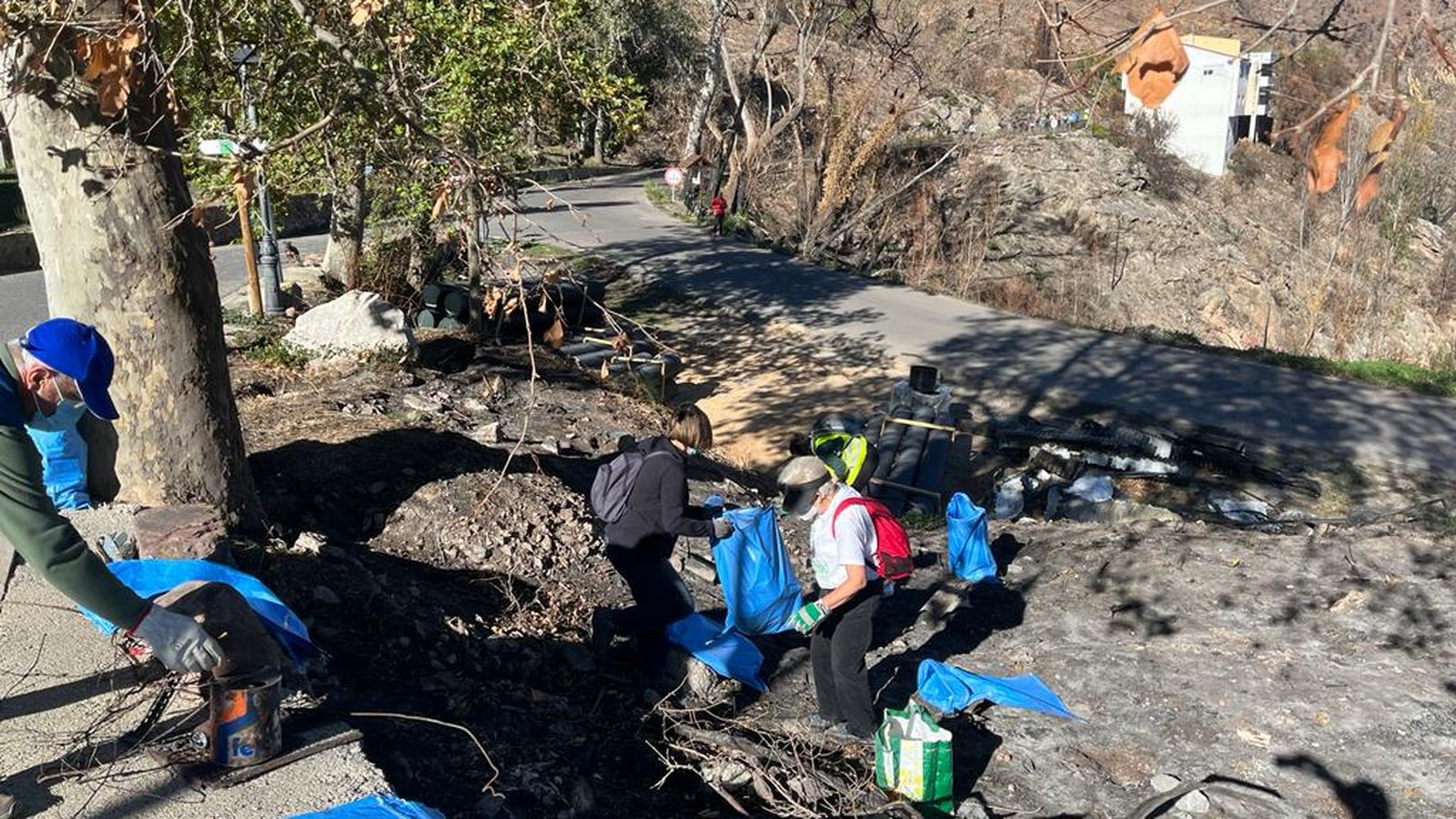 Voluntariat participa en l'arreplega de fem en les zones afectades per l'incendi de Begís