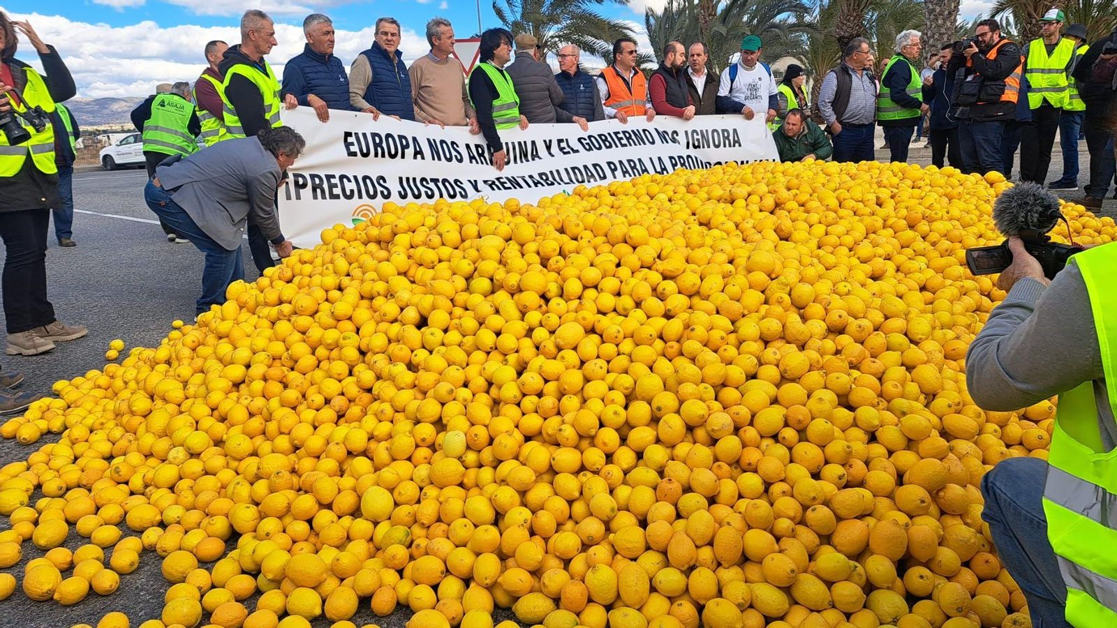 Els llauradors han llançat quilos de llimes a terra a Sant Isidre com a senyal de protesta pels baixos preus d'aquest producte