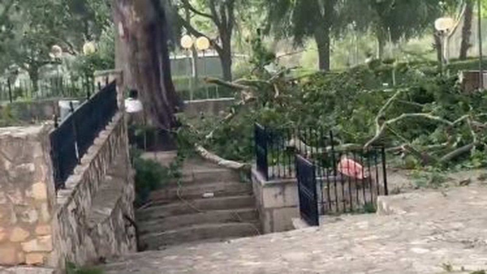 Rames trencades en un parc de la localitat de Xella, per l'esclafit tèrmic de dilluns per la nit