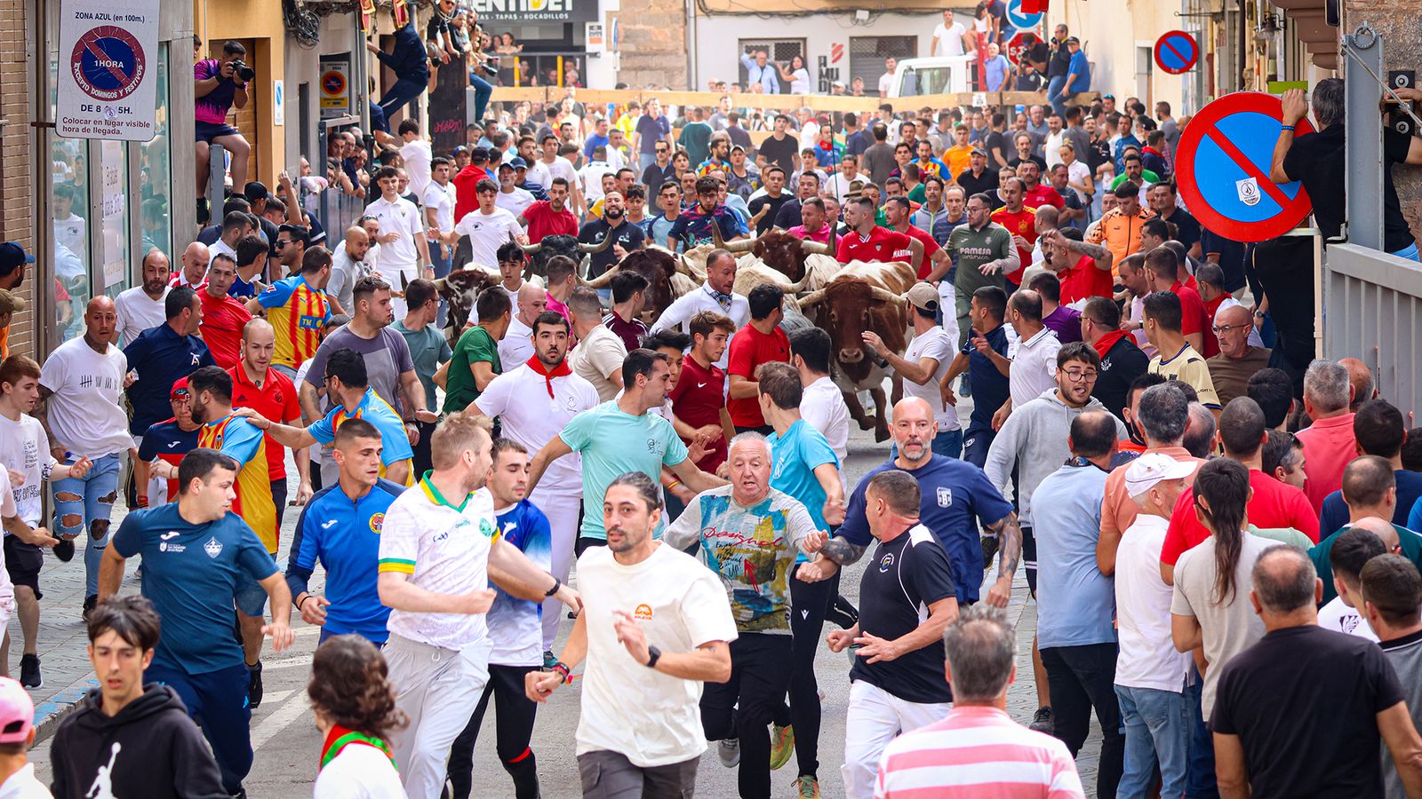La televisió pública valenciana oferirà els Encierros d'Onda que enguany compten amb 3 ramaderies de primer nivell: La Quinta, Veiga Teixeira i Santiago Domecq