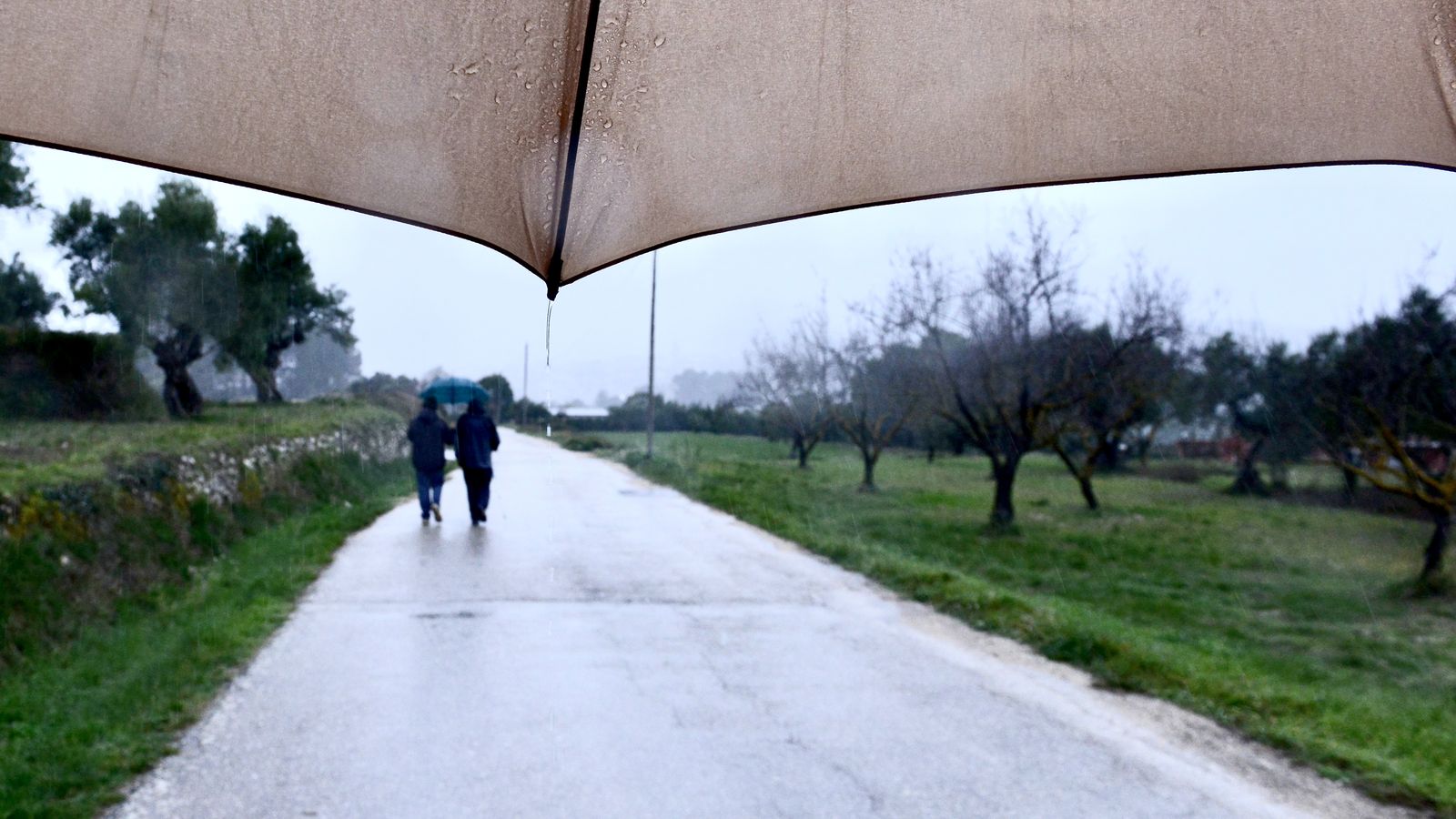 2.BOCAIRENT, LA VALL D'ALBAIDA