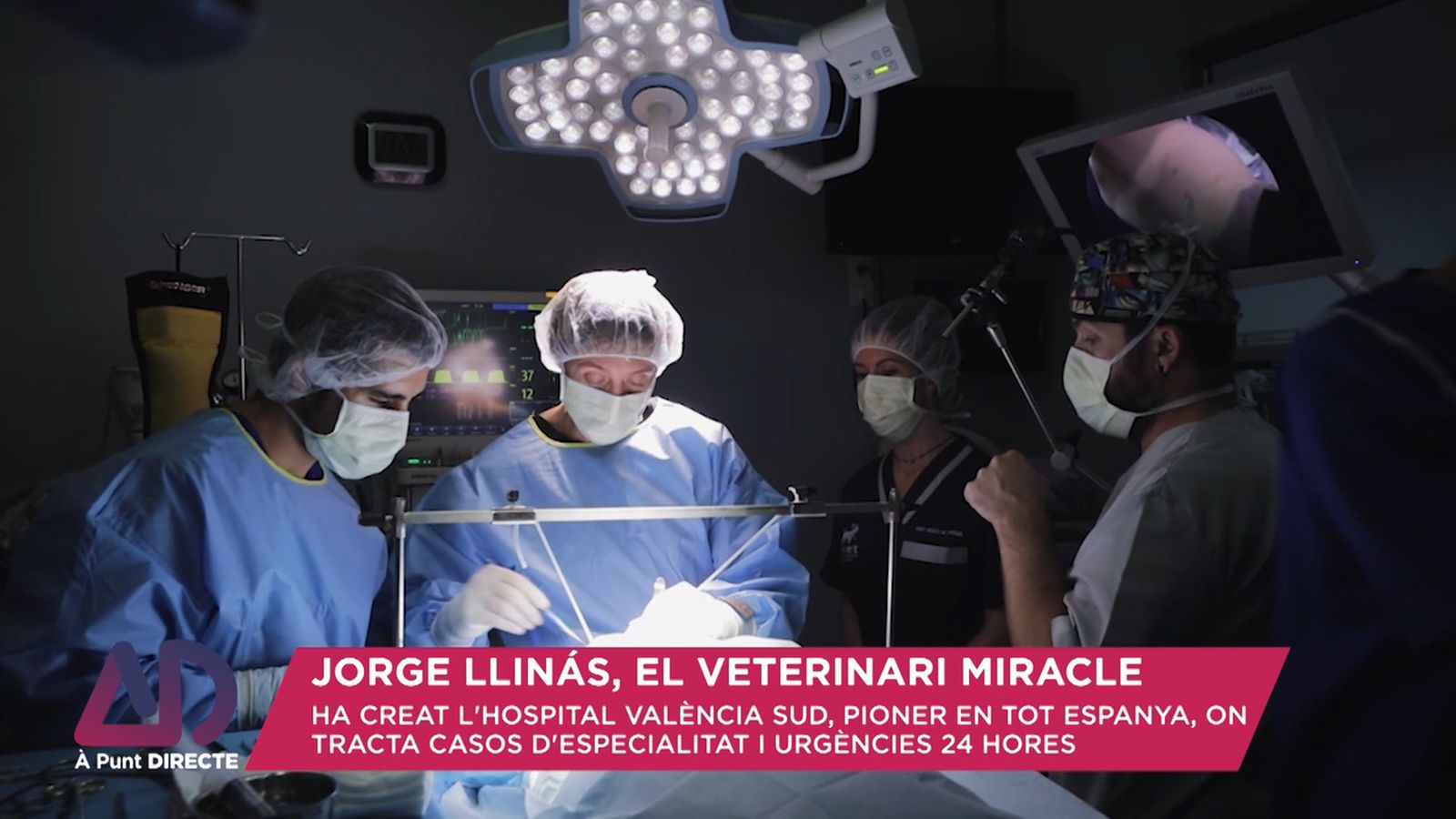 El Cavadas dels animals