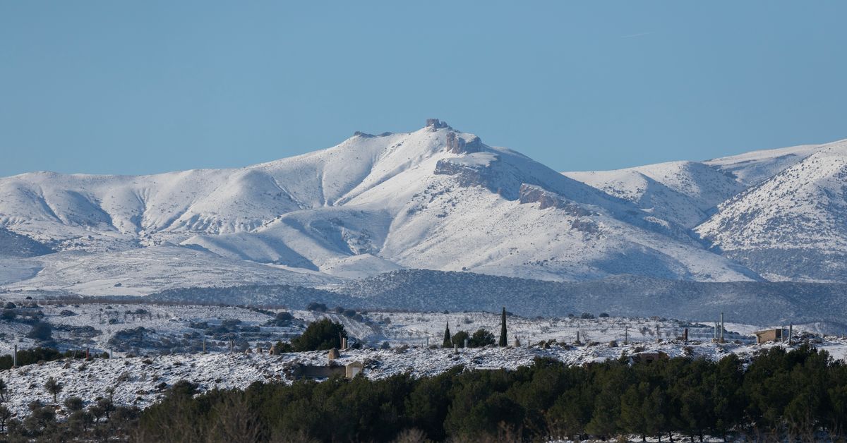 Tres Muntanyencs Perden La Vida A La Escupidera Del Parc Natural Del tres-muntanyencs-perden-la-vida-a-la-escupidera-del-parc-natural-del