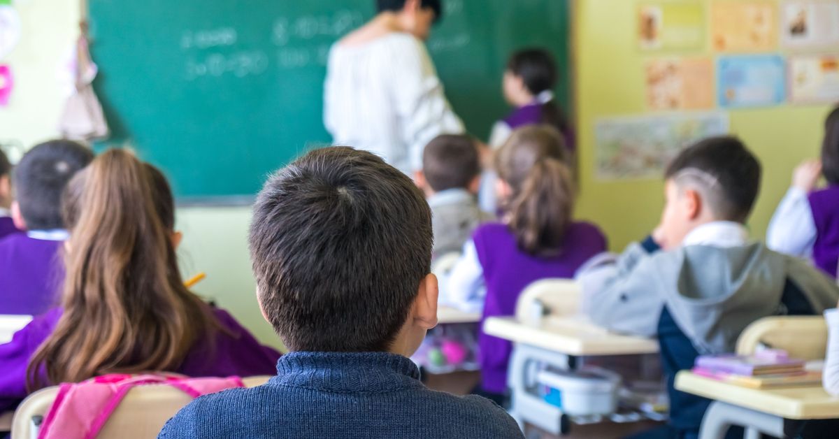 S’obri la consulta perquè les famílies decidisquen sobre la llengua ...