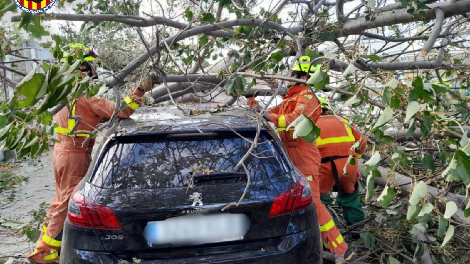 Retirada d'un arbre a Riba-roja de Túria, on han actuat bombers de Xiva