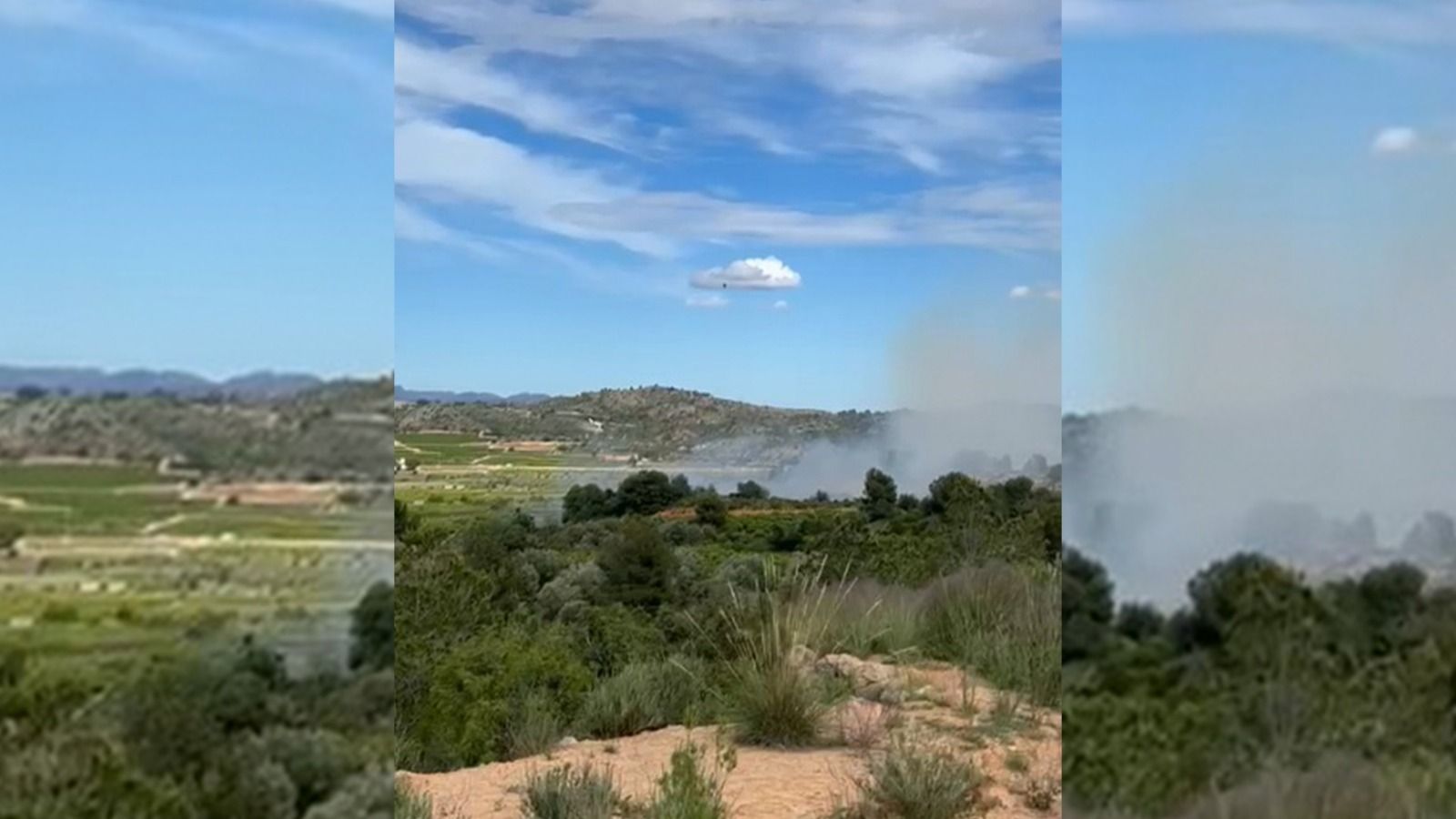 Incendi Forestal a Vilamarxant