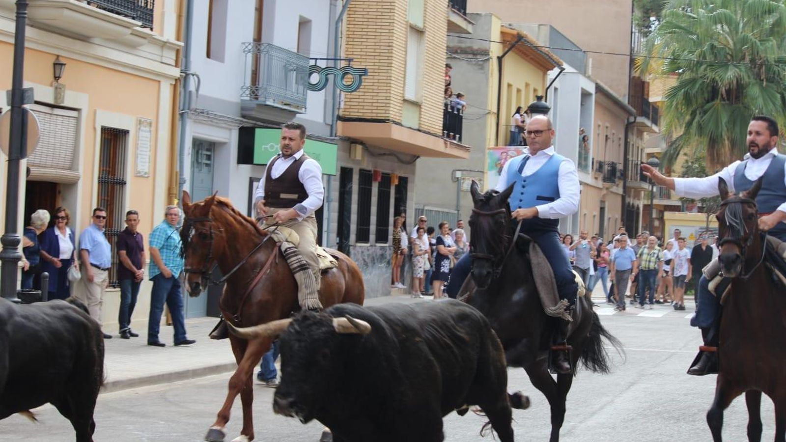 Entrada Bous i Cavalls de Cheste per primera vegada en directe