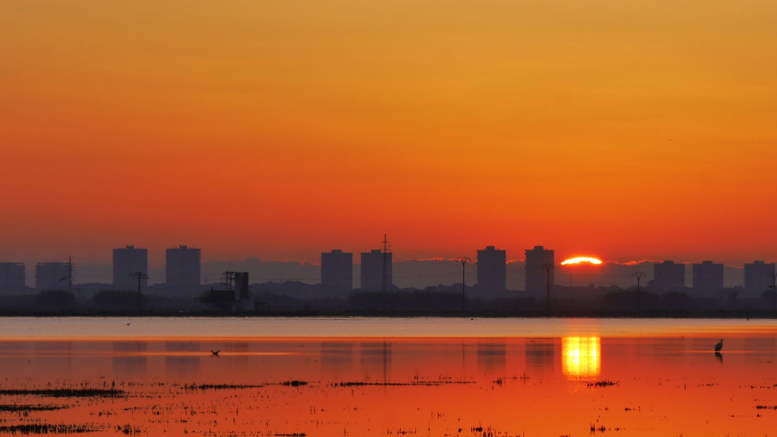 2. SILLA, L'HORTA SUD, EMILI ALBA