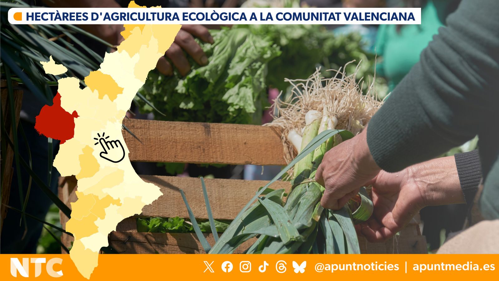 Hectàrees-d'agricultura-ecològica-a-la-Comunitat-Valenciana