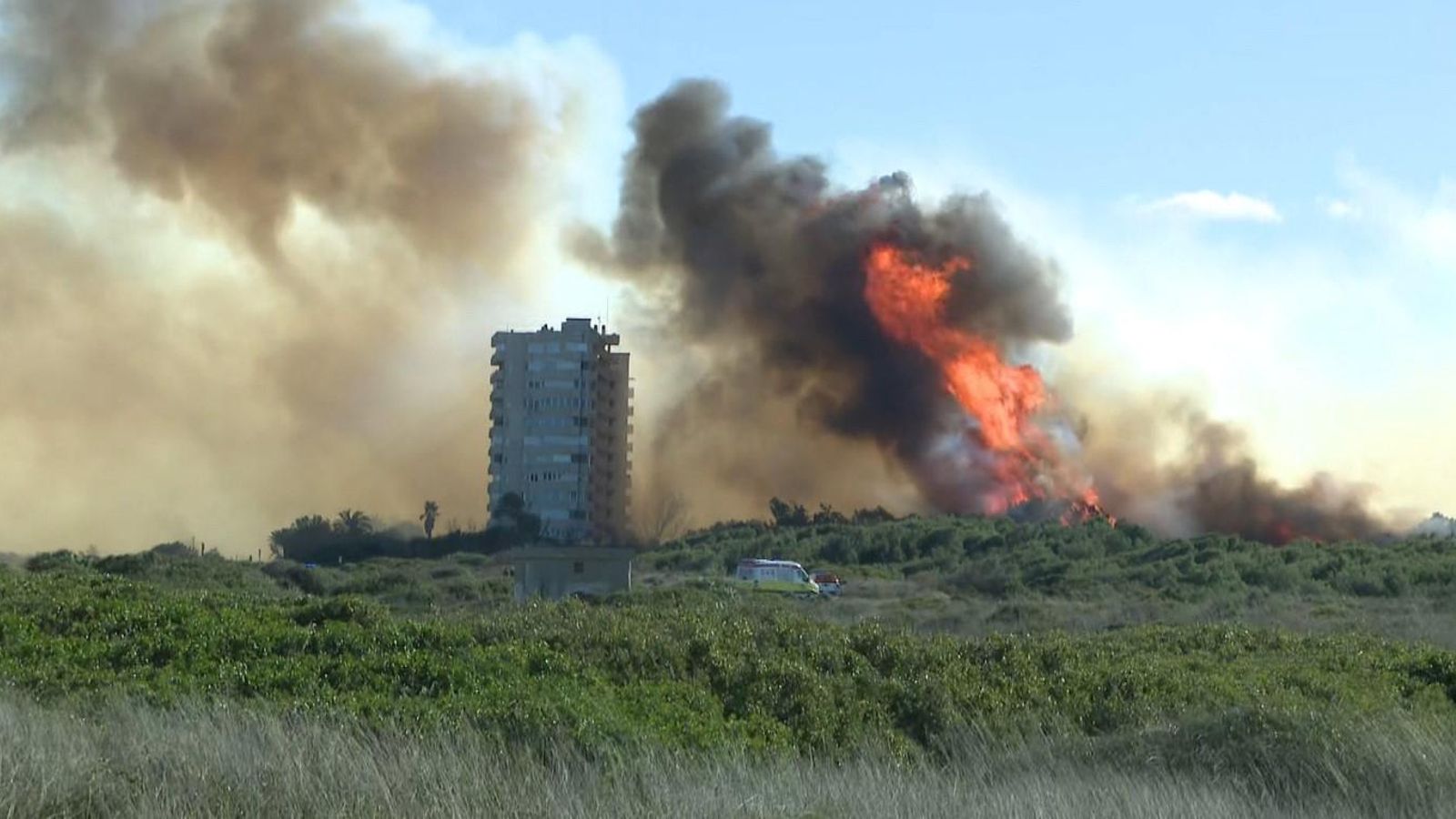 Imatges de l'incendi del Saler Imatges de l'incendi del Saler