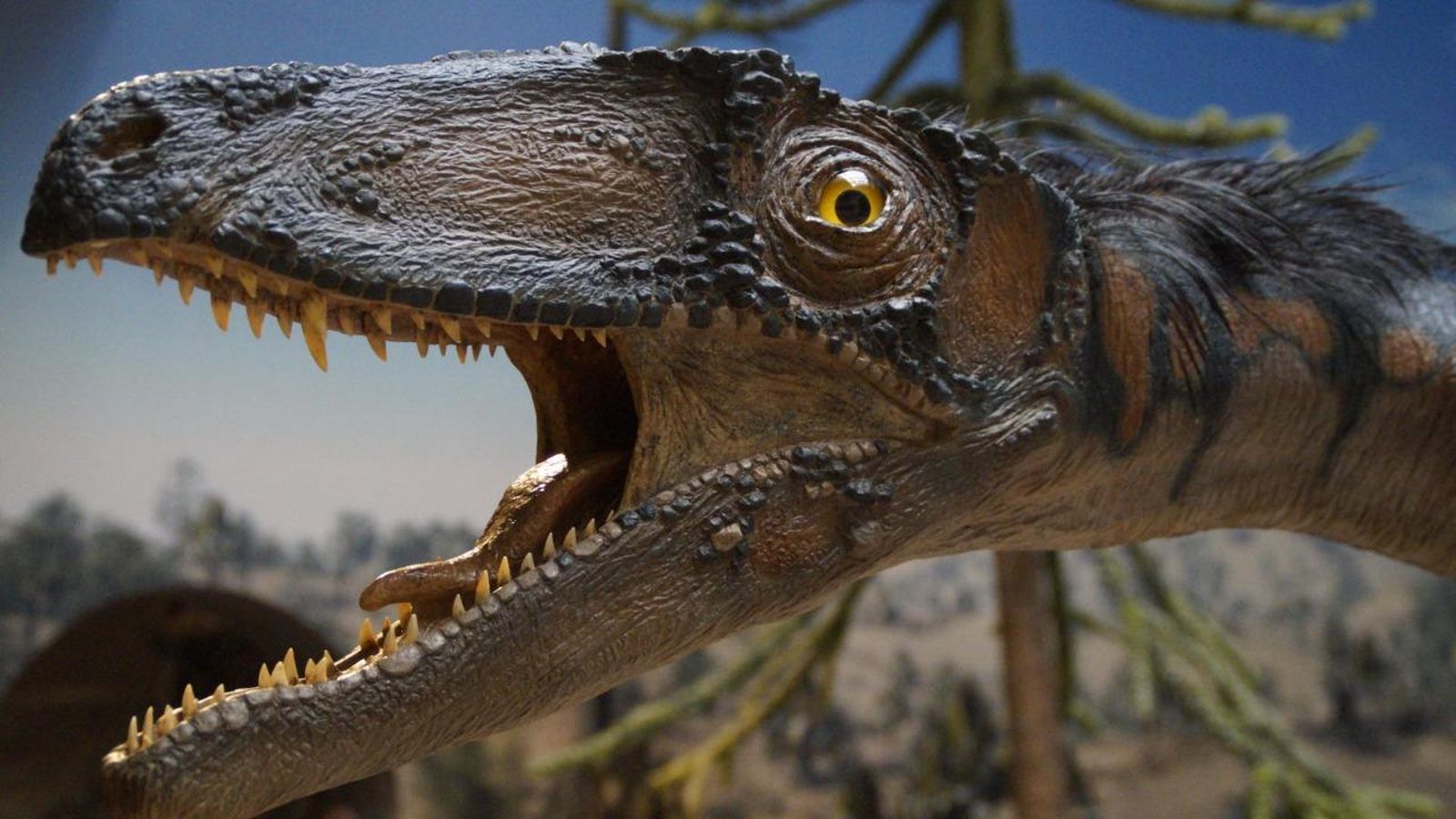 Qui és qui? Dinosaures i més!