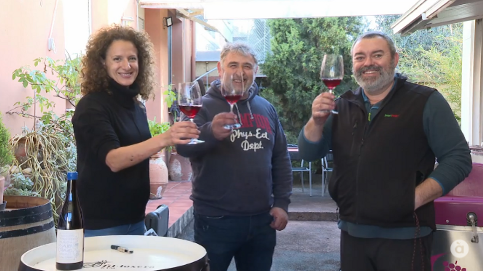 Celler Fil·loxera & Cia, a Fontanars dels Alforins (Vall d'Albaida) Celler Fil·loxera & Cia, a Fontanars dels Alforins (Vall d'Albaida)