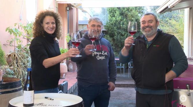 Celler Fil·loxera & Cia, a Fontanars dels Alforins (Vall d'Albaida)