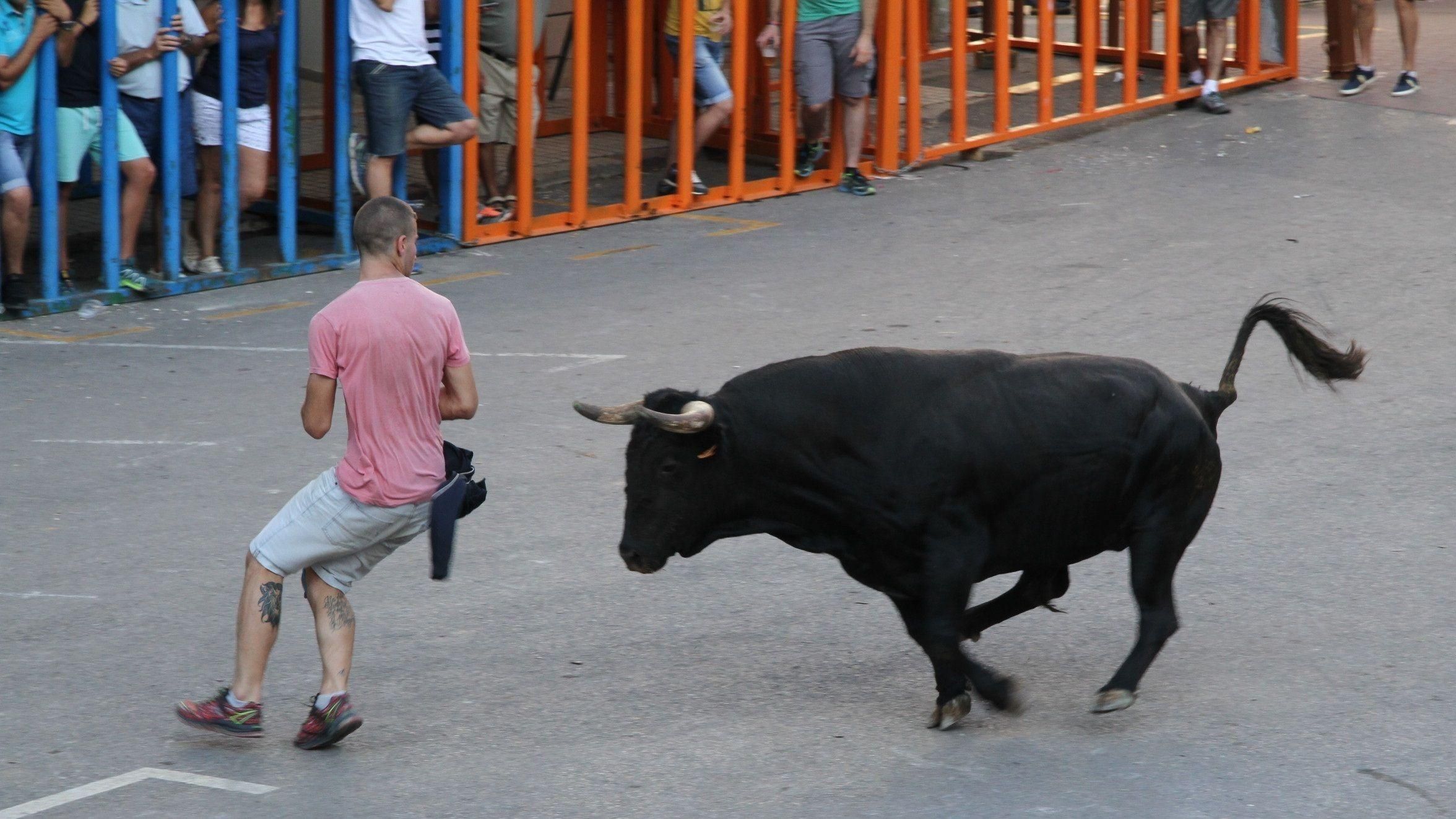 Imatge d'arxiu d'un acte taurí a Vilafamés Imatge d'arxiu d'un festeig taurí a Vilafamés