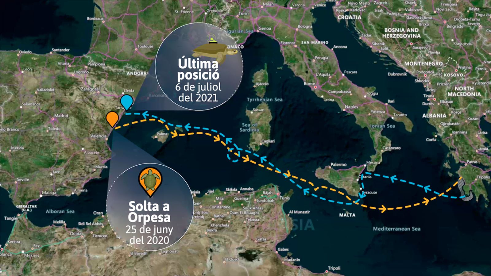 Recorregut de la tortuga Colomera