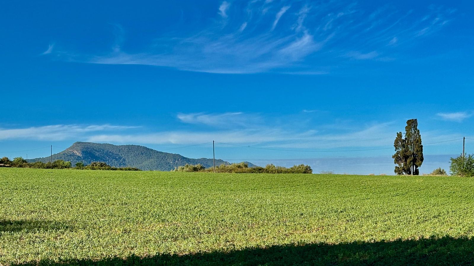 8. BANYERES DE MARIOLA, L'ALCOIÀ