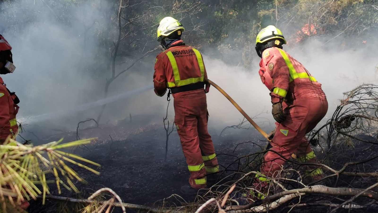 Agents dels bombers realitzen tasques d'extinció de l'incendi forestal de Rafelguaraf