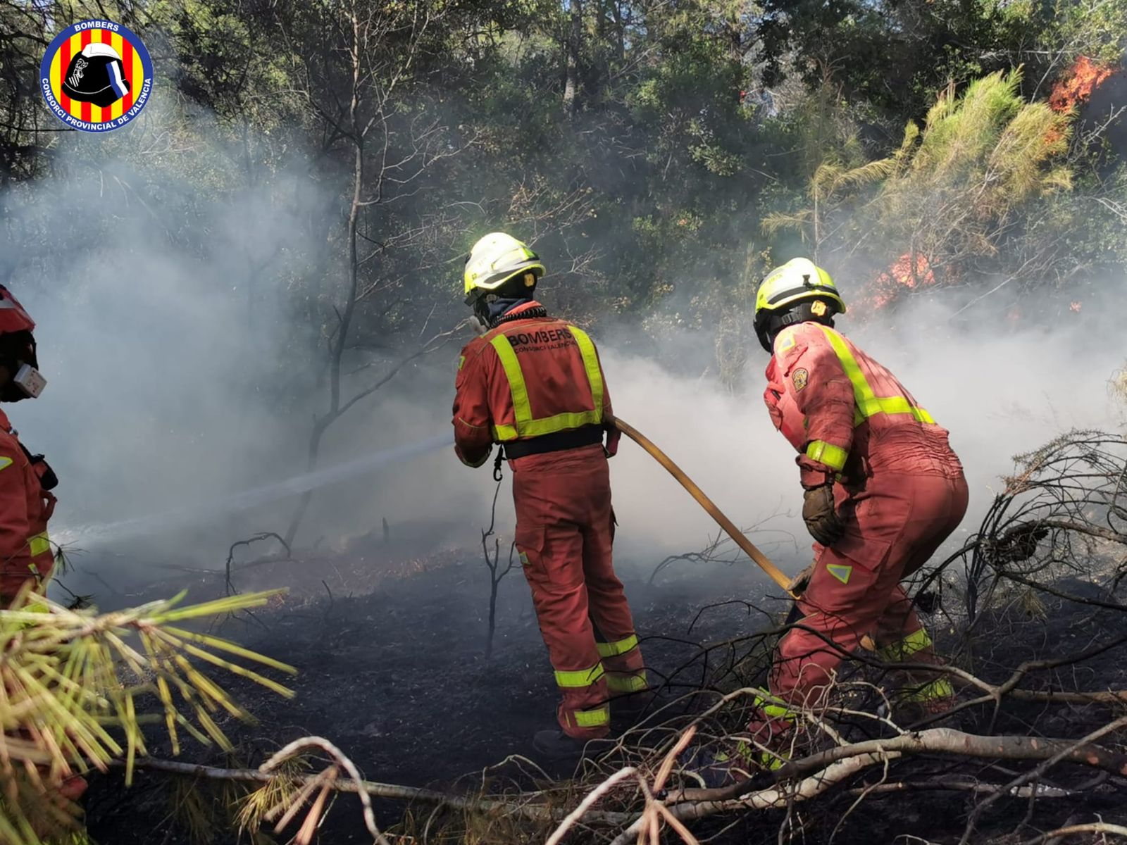 Agents dels bombers realitzen tasques d'extinció de l'incendi forestal de Rafelguaraf