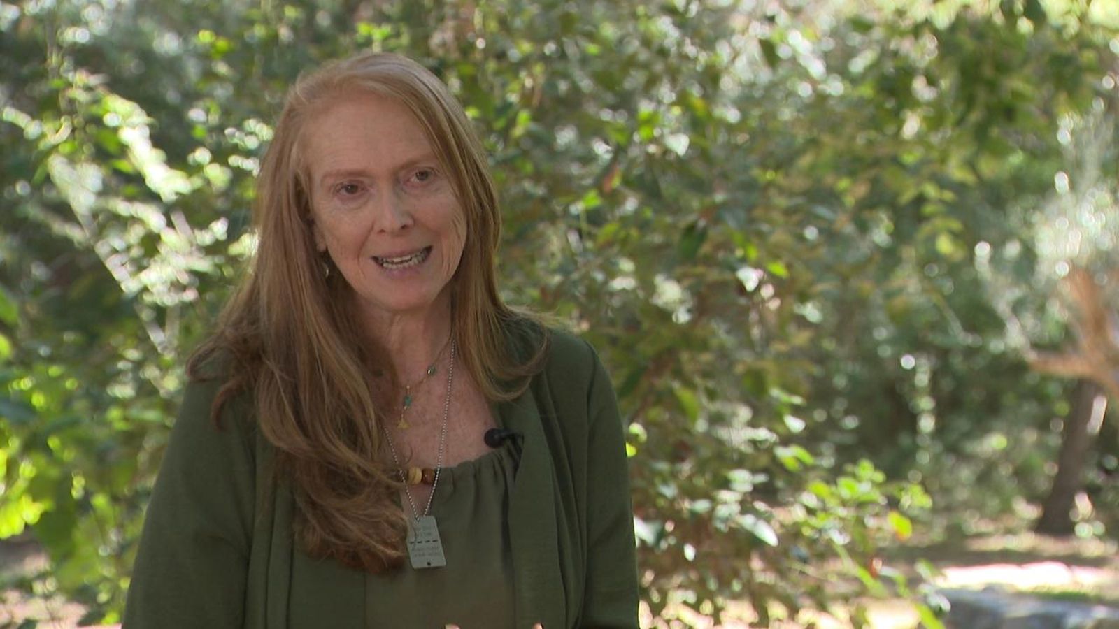 "La major traïció i dolor és davant del nostre govern", assegura Shuali