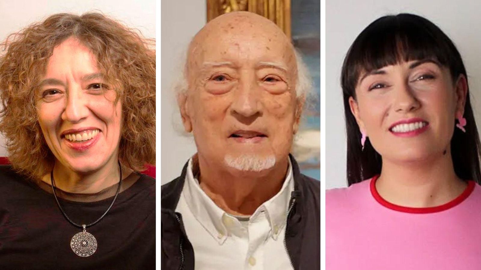 Premis de la Fira del Llibre de València 2025: Raquel Ricart, Manuel Vicent i Bibiana Collado