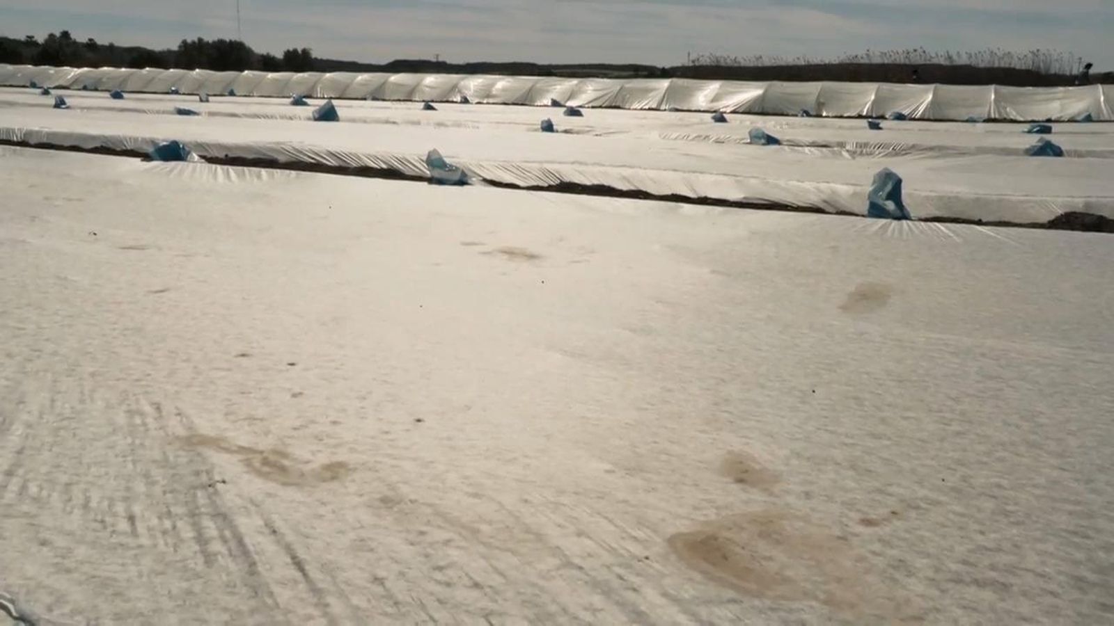 De mar i bancal | D'aigua i abrics