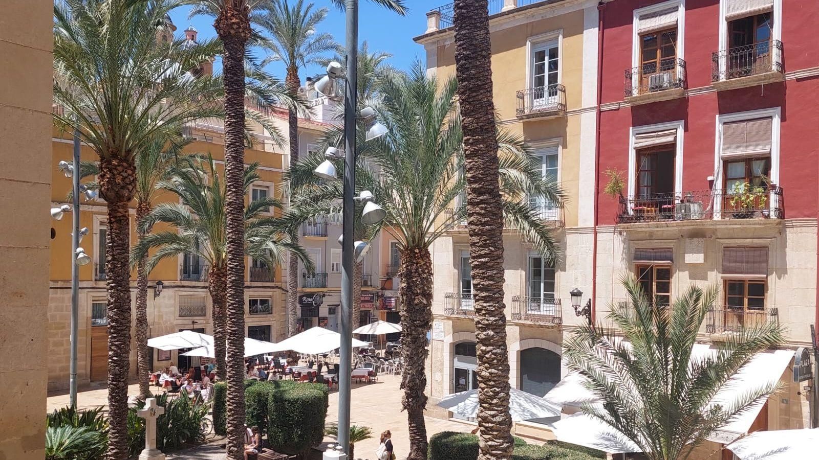 Seu del Patronat Municipal de Vivenda d'Alacant, que promou polítiques d'accés a la vivenda