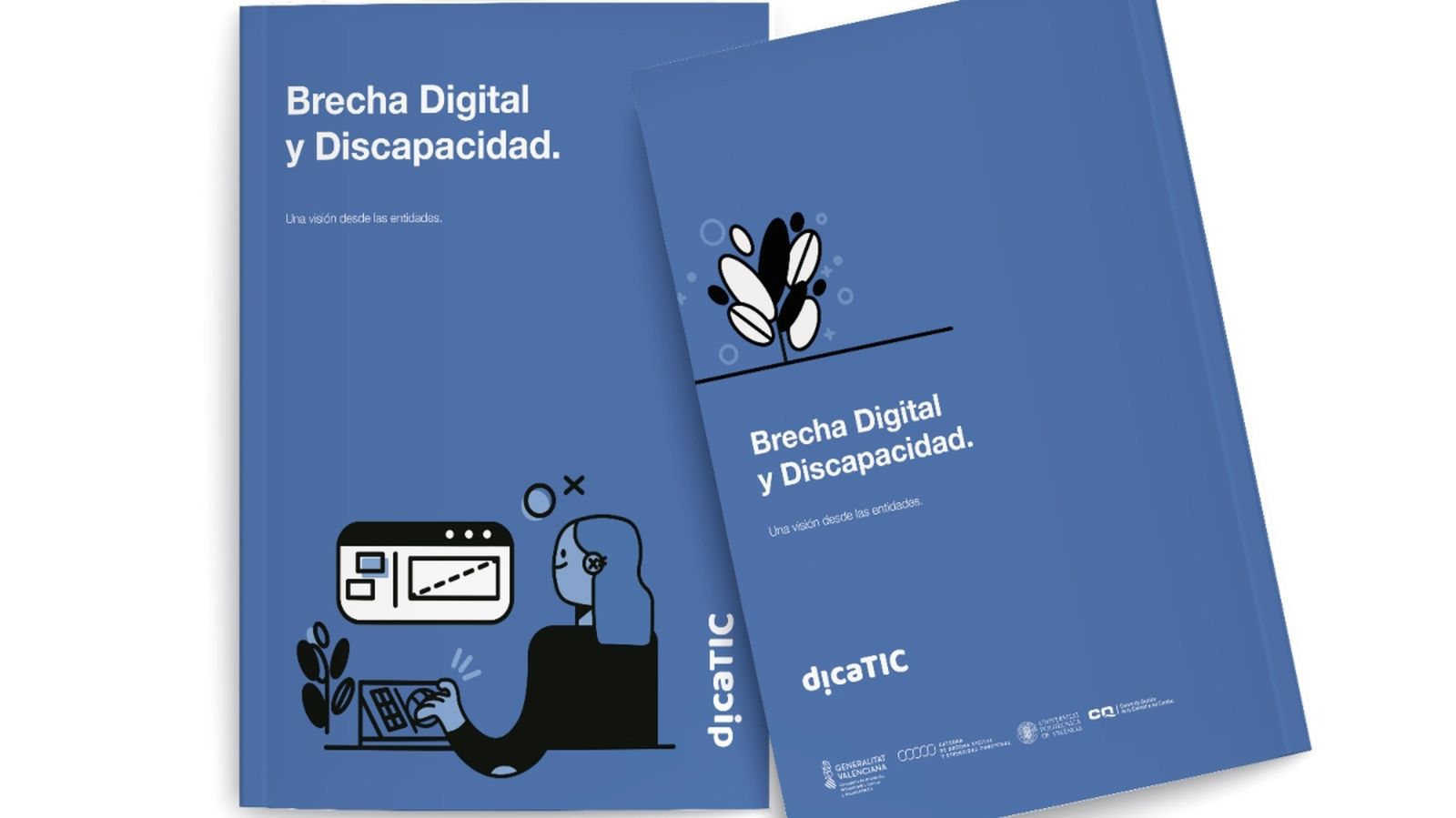 Bretxa Digital i Diversitat Funcional