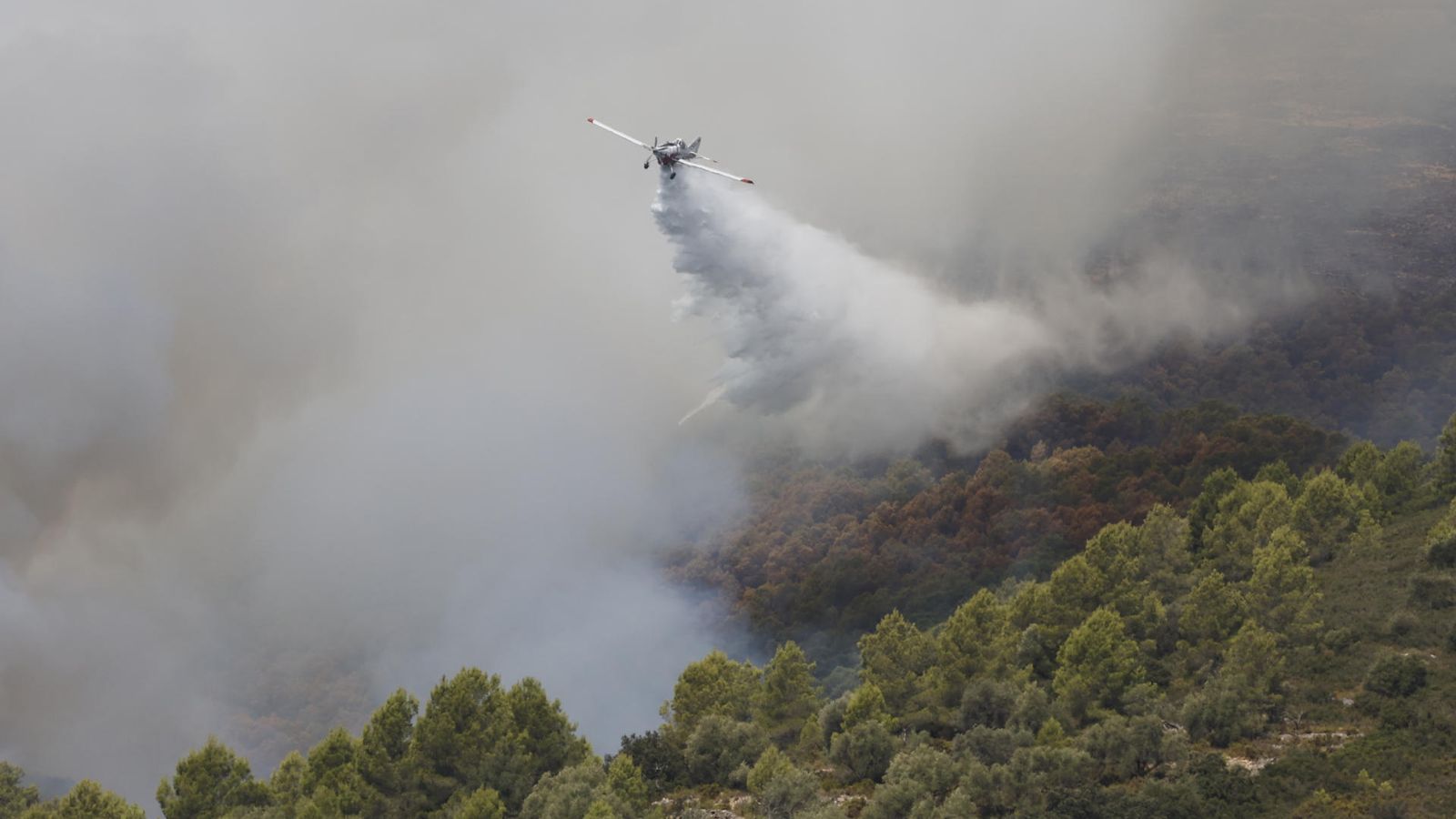 Imatge d'arxiu d'un incendi a una zona forestal