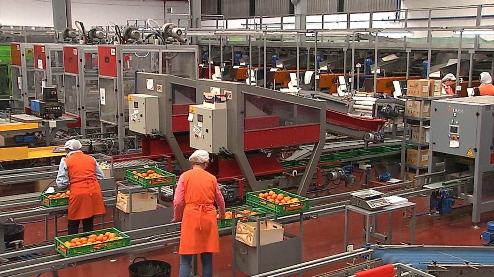 Cisma a Intercitrus