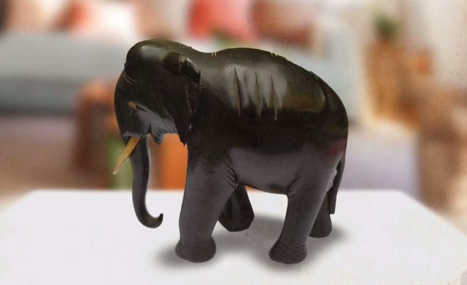 L'elefant que utilitzava com amulet el porter Pepe Alanga