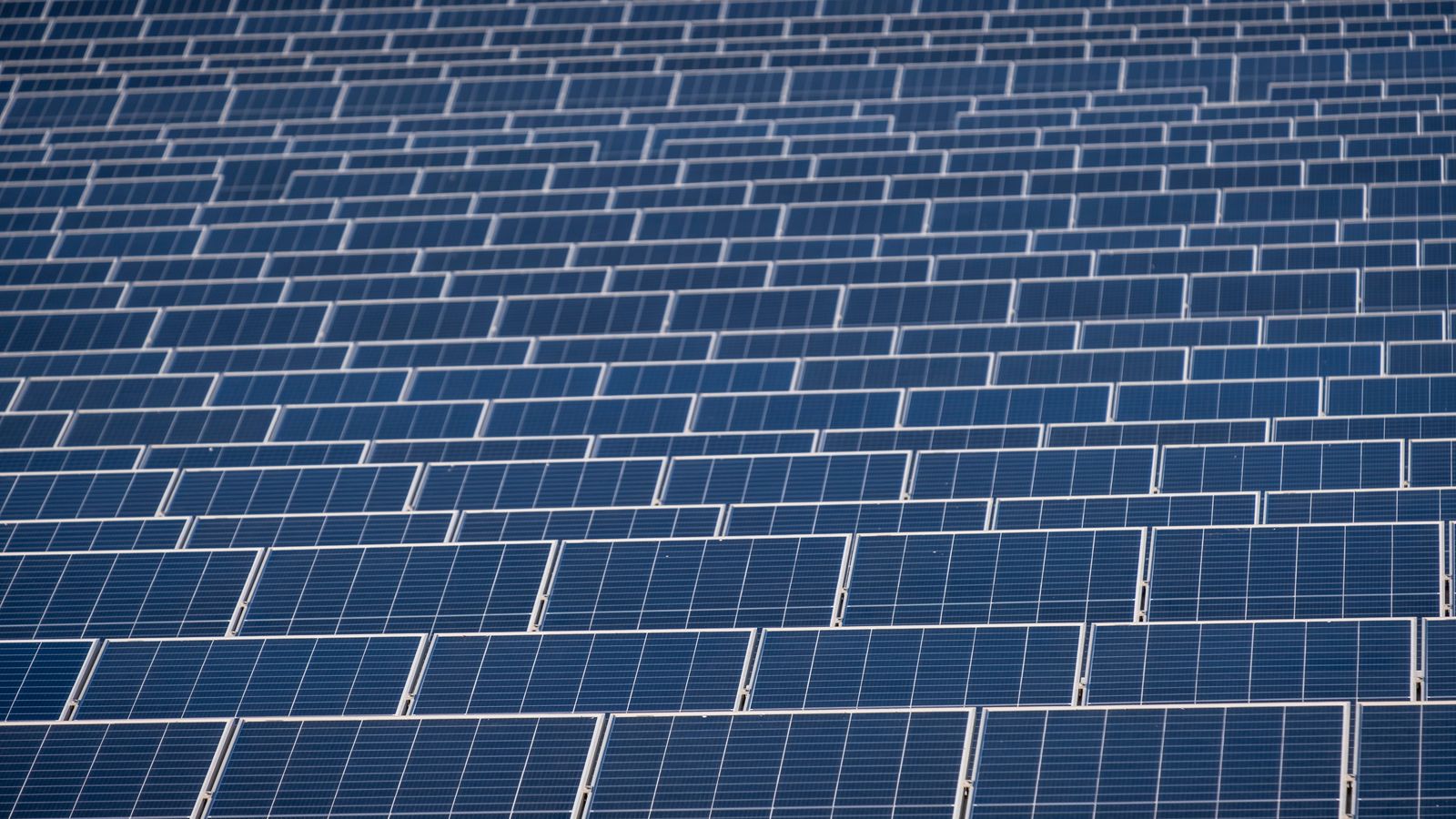 06.06.2023 | Masos, cellers, vinyes i multitud d'espècies de les Useres, amenaçats per la instal·lació d'una macroplanta solar