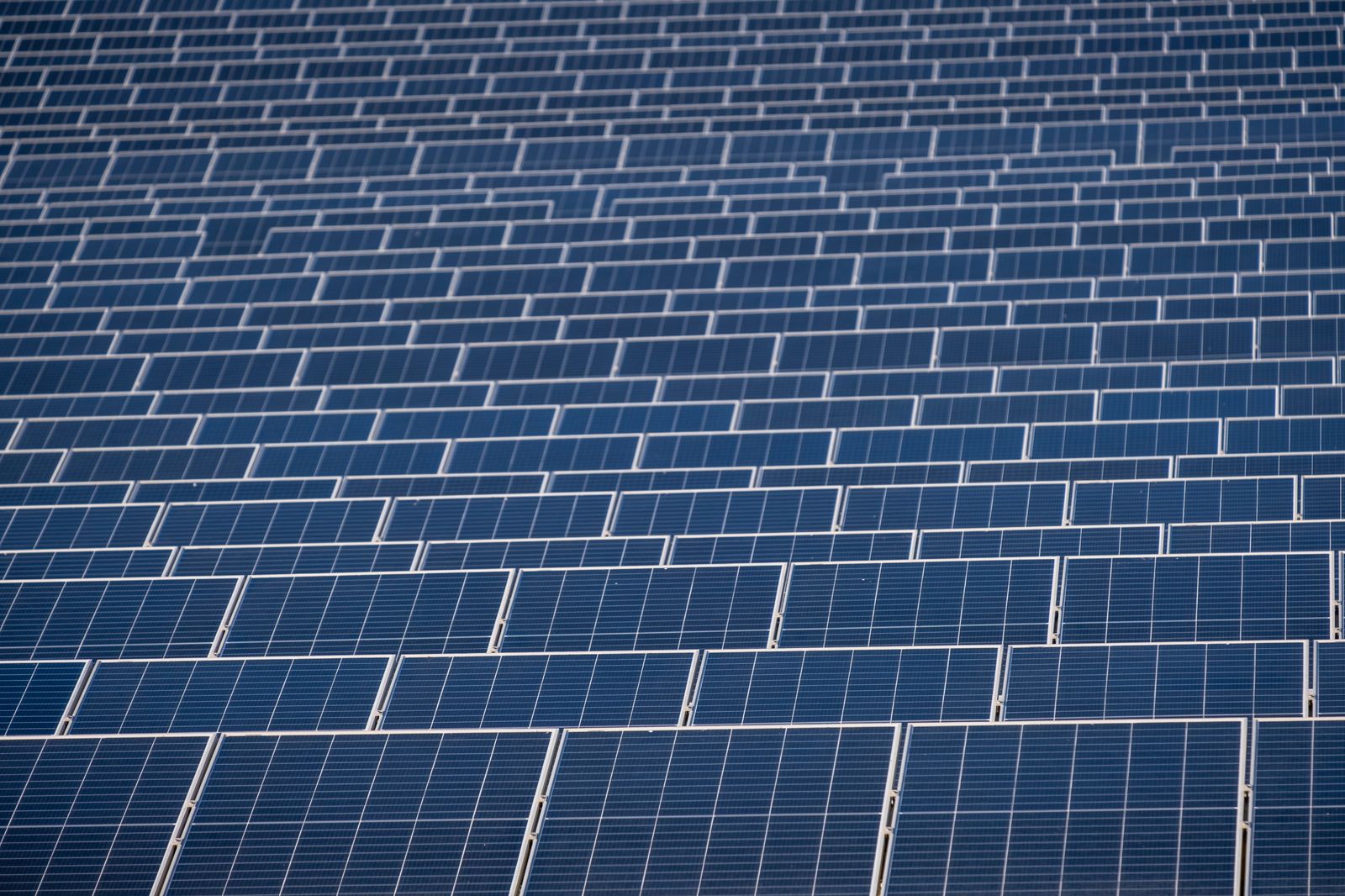 06.06.2023 | Masos, cellers, vinyes i multitud d'espècies de les Useres, amenaçats per la instal·lació d'una macroplanta solar