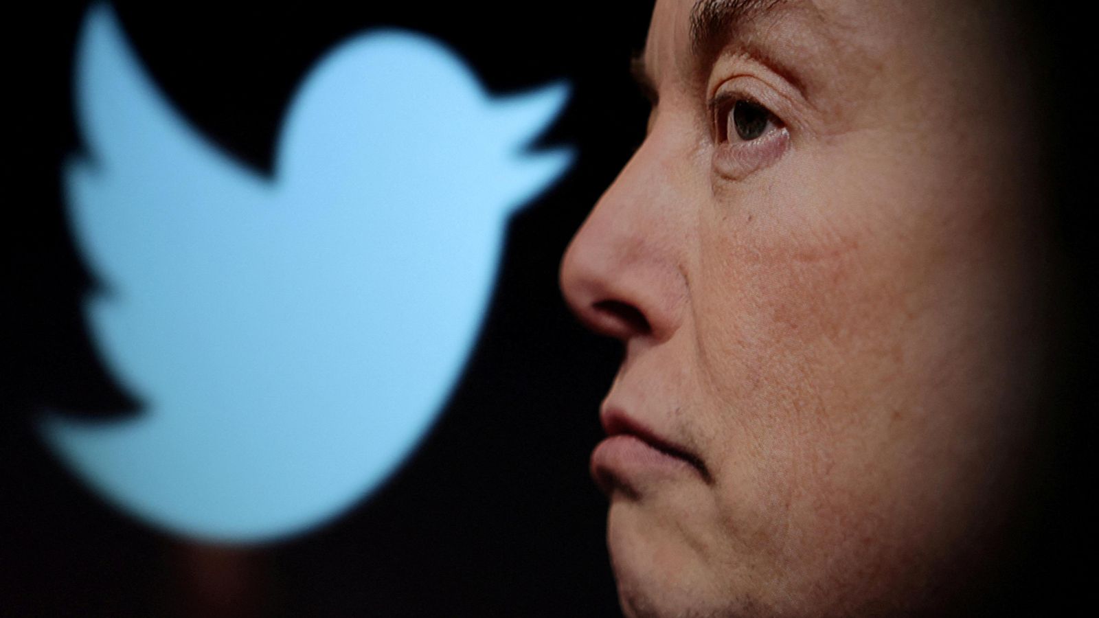 El logotip de Twitter i una foto de Elon Musk es mostren a través d'una lupa