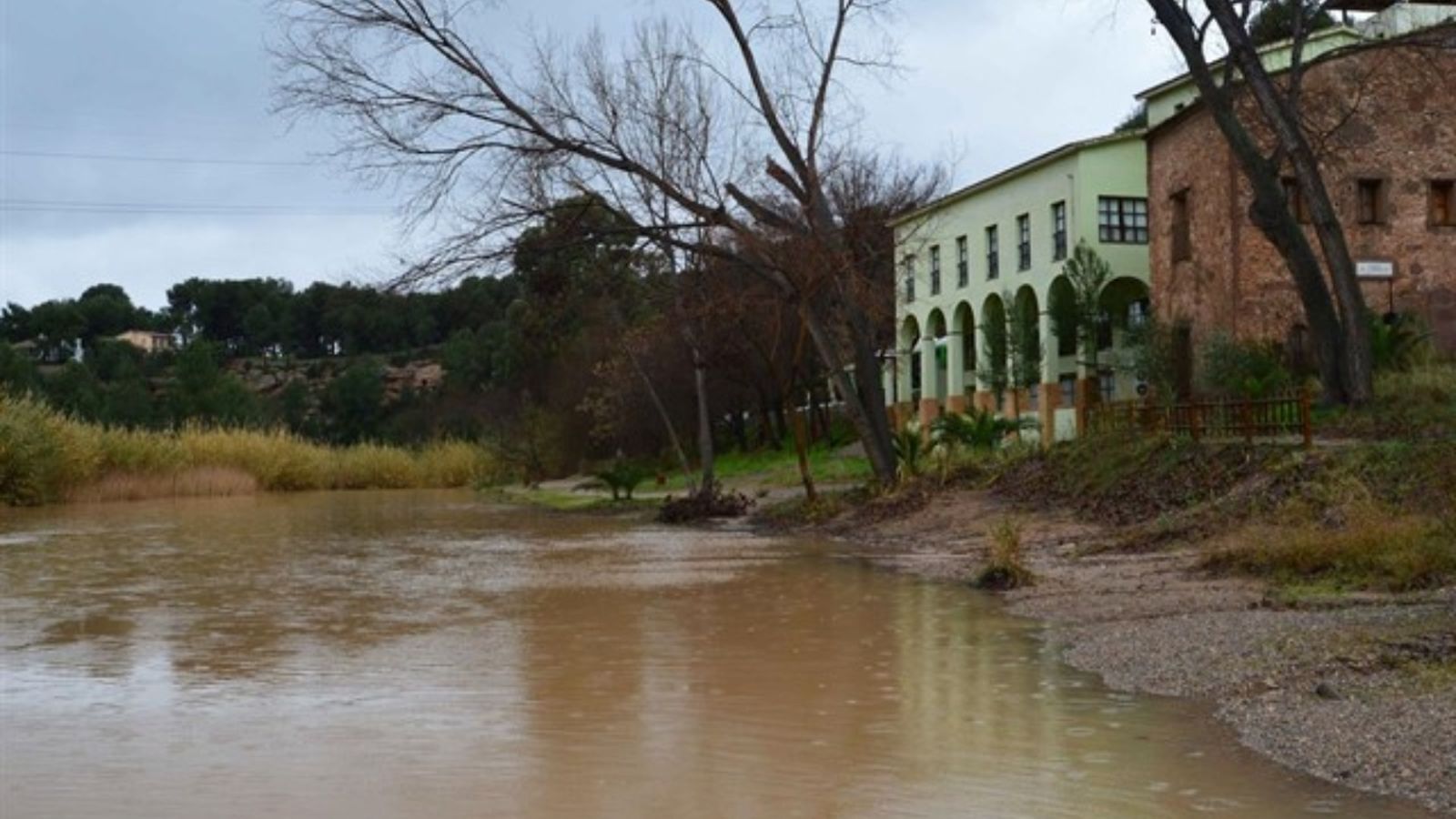 Crescuda del Riu Millars