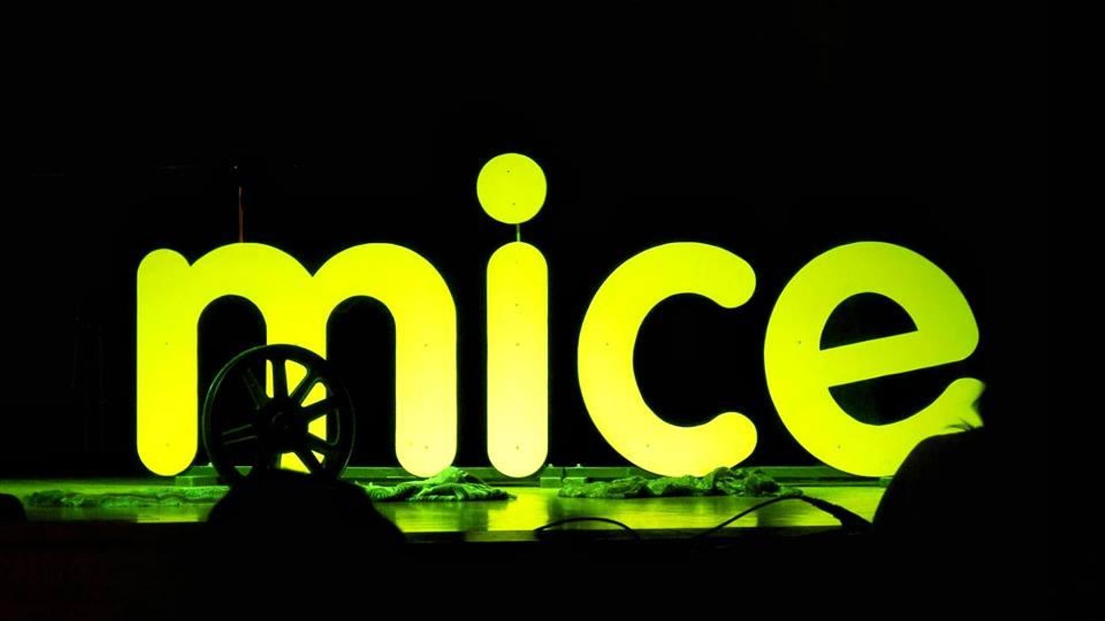 À Punt es converteix en el mitjà oficial de la huitena edició de la MiCe.