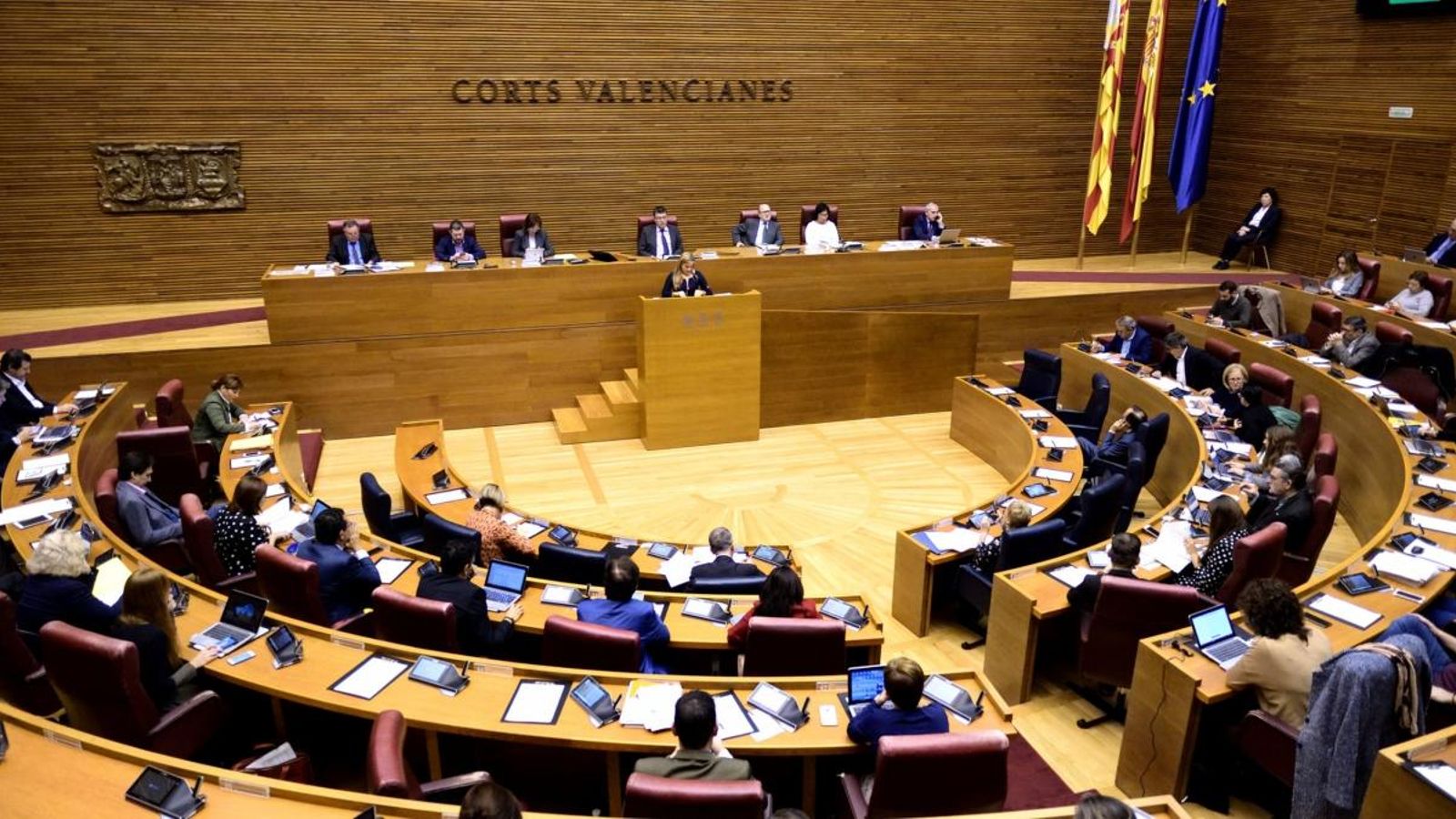 Ple de les Corts del 16 de novembre. Inma Caballer
