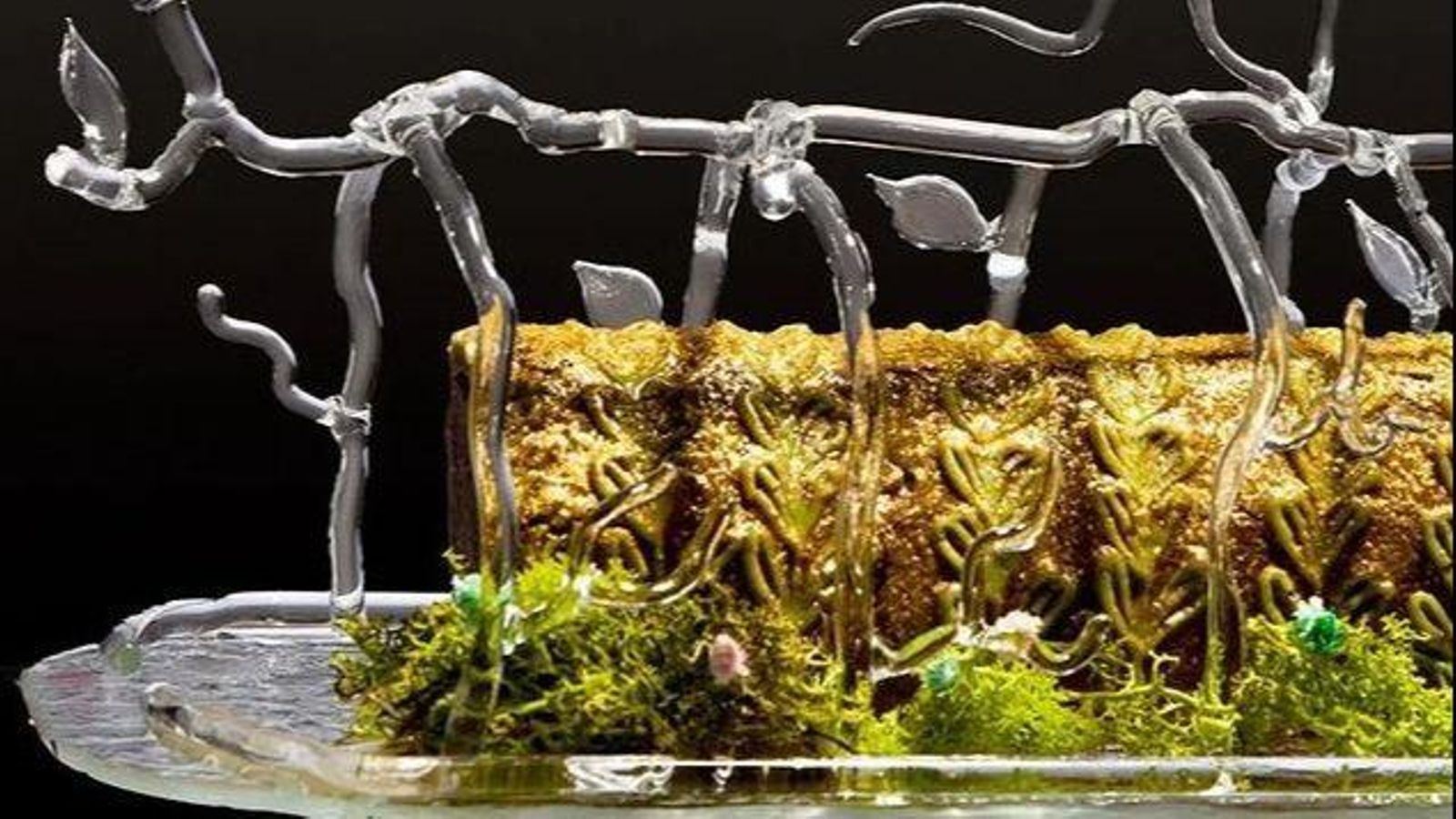 Recreació d'un escull amb bacallà negre i gamba de Dénia