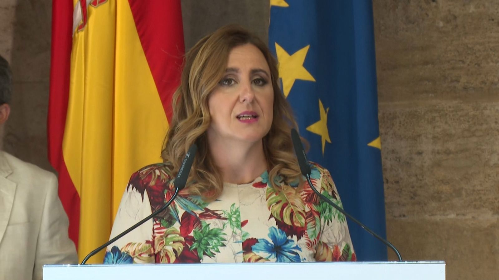 Declaracions de l'alcaldessa de València, Maria José Catalá