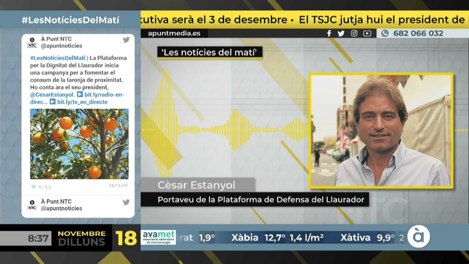 18.11.2019 | NM Campanya per a fomentar el consum de la taronja de proximitat