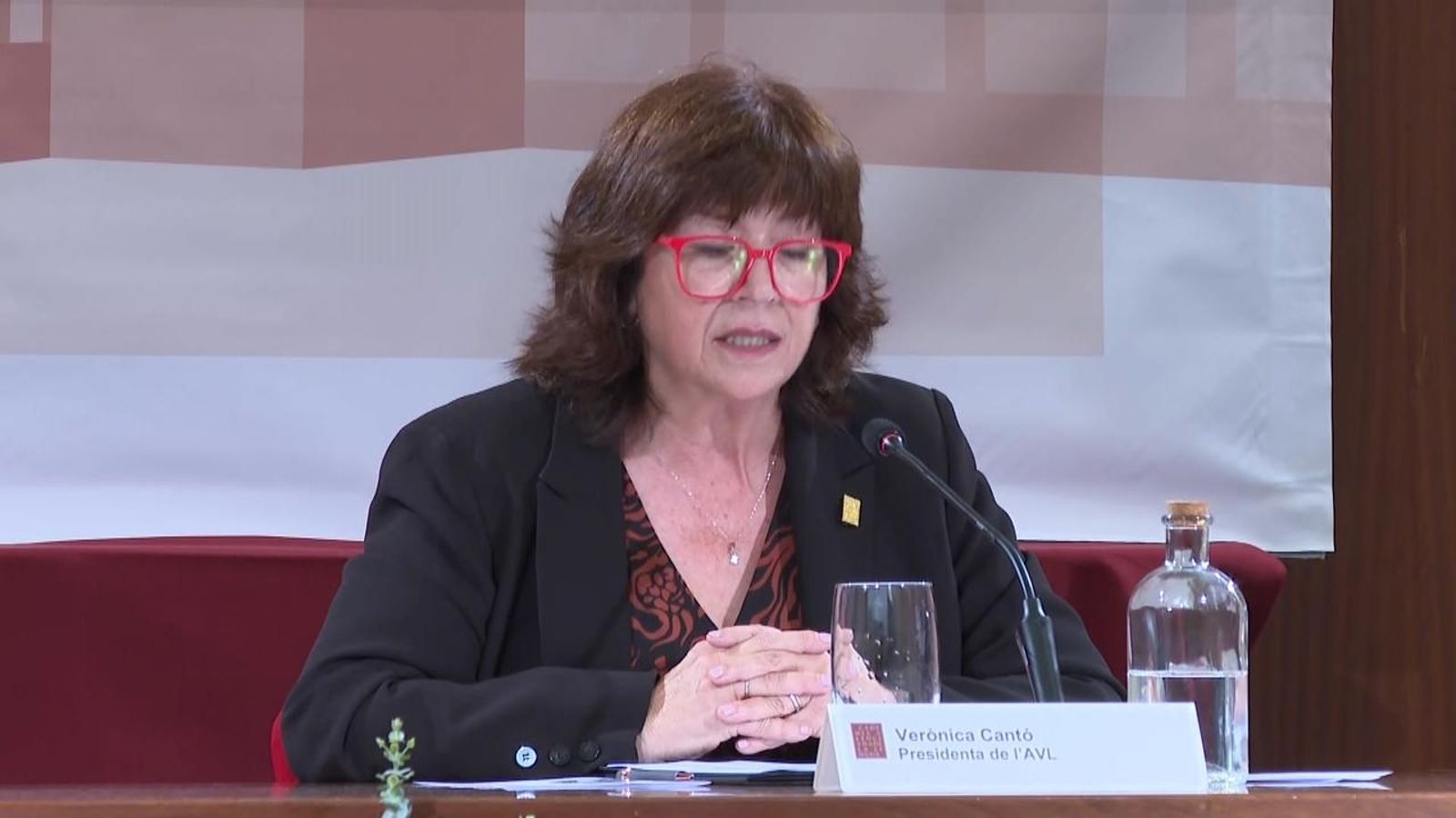 Declaracions de Verónica Cantó en l'obertura del curs de l'AVL, este divendres