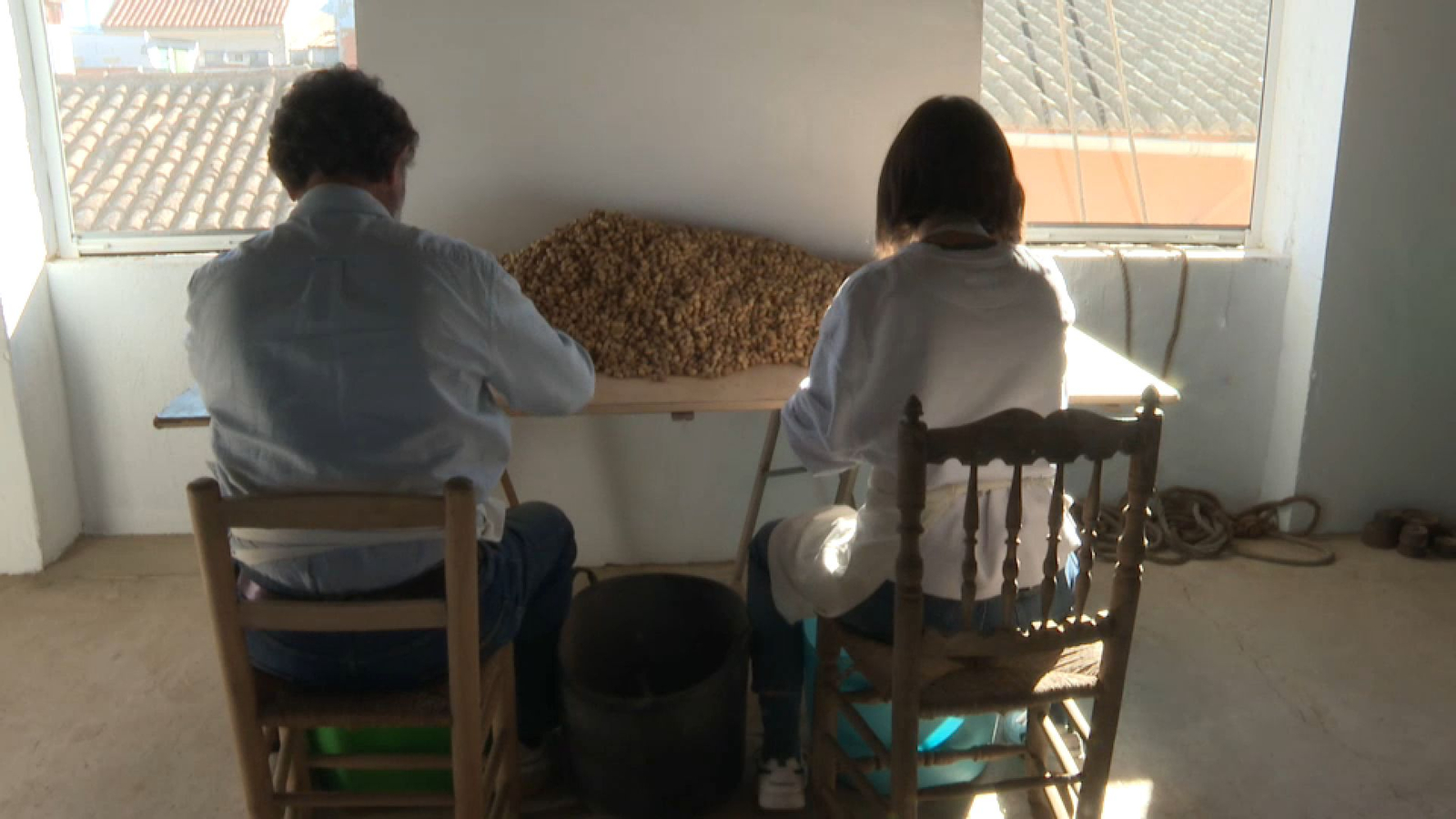 Edu i Ana estan darrere del pojecte Ca Climent per a recuperar varietats autòctones de cacau