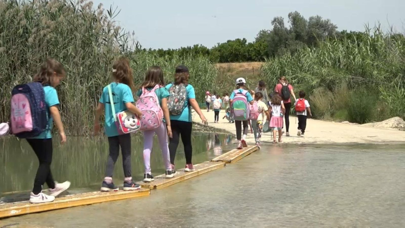 'A l'ombra dels arbres'. Un projecte de preservació de flora i fauna autòctona