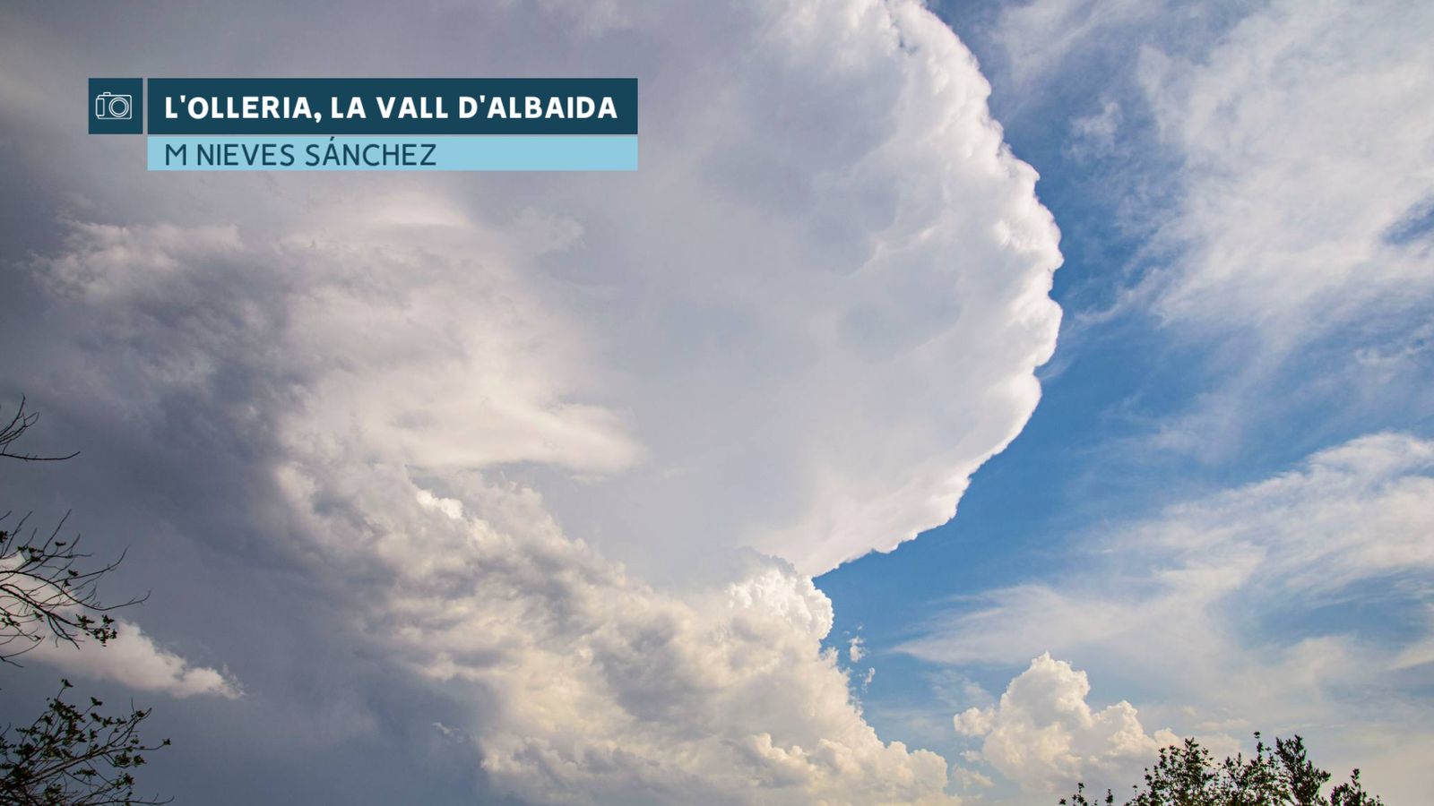 L'OLLERIA DIA 13 D'AGOST