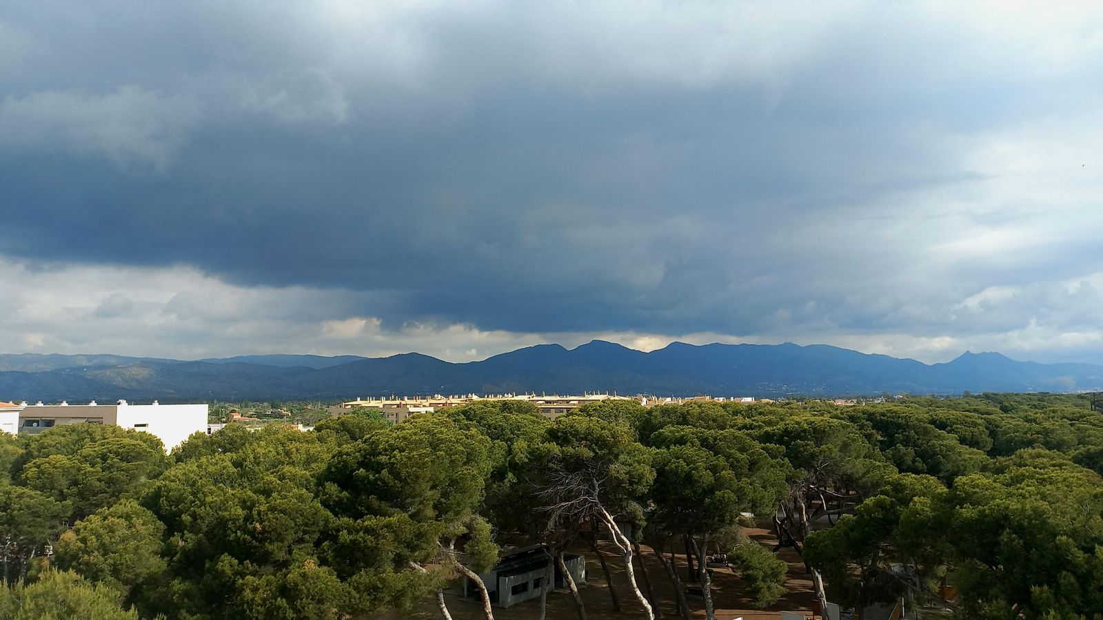 CHELO CLAR, Grau de Castelló