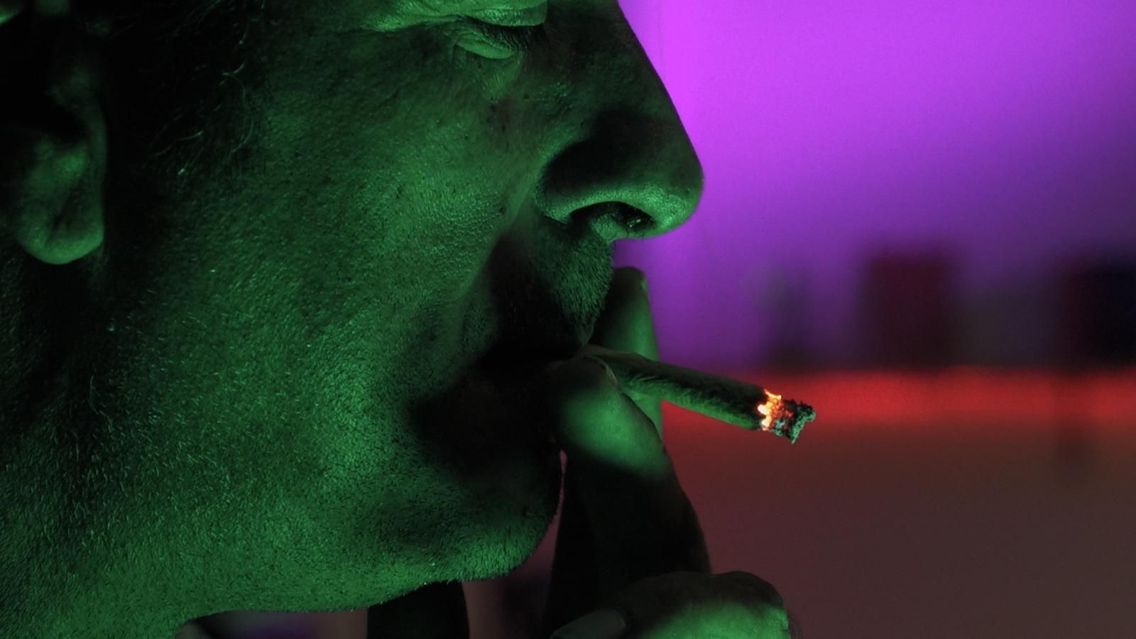 El cànnabis, la droga il·legal més consumida a Espanya